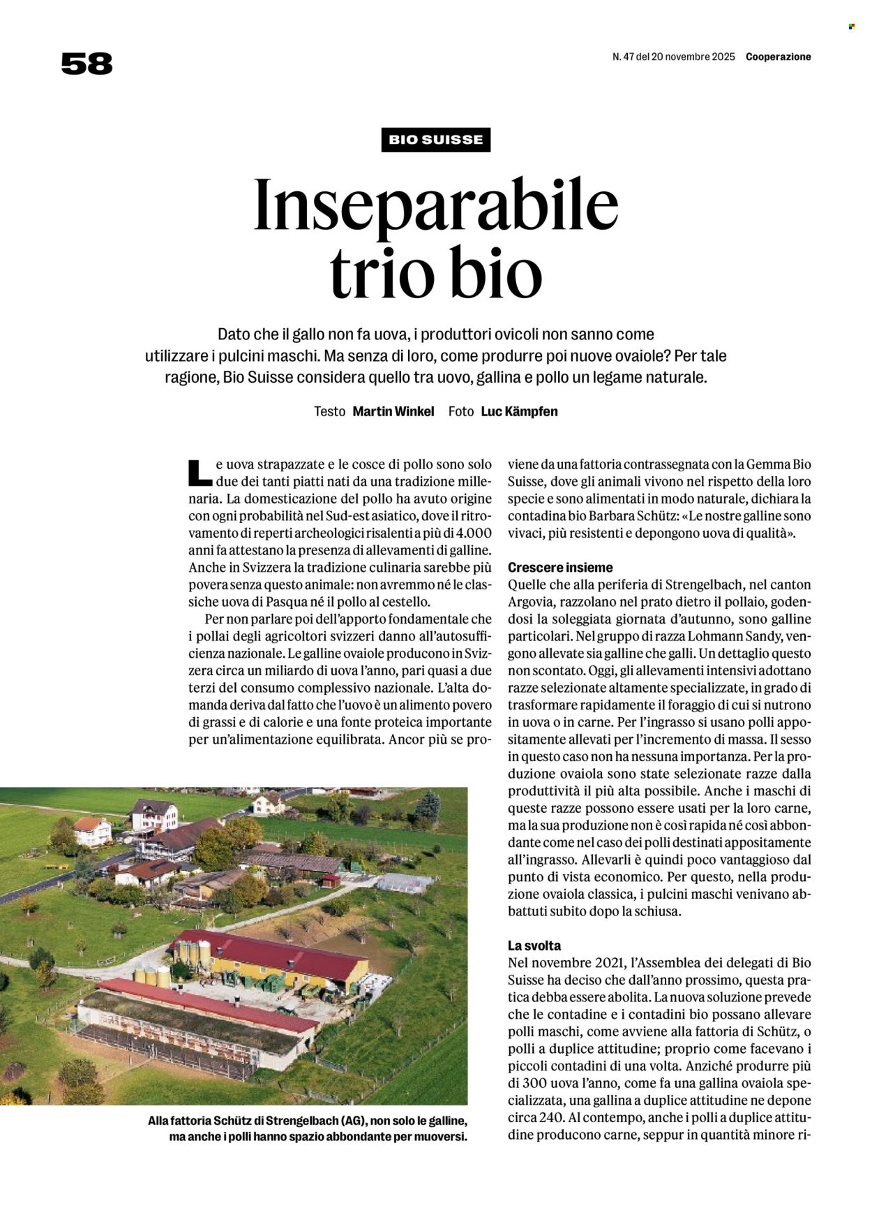 Catalogue Prodega - 24.11.2025 - 29.11.2025. Page 58. Page 58