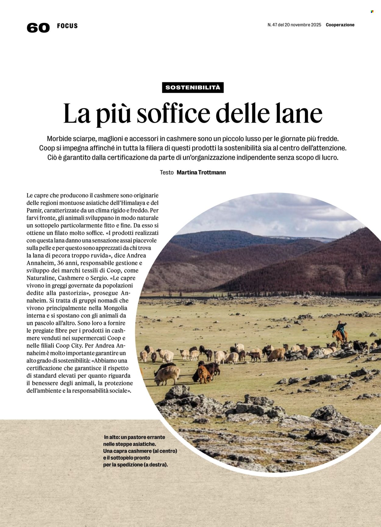 Catalogue Prodega - 24.11.2025 - 29.11.2025. Page 60. Page 60