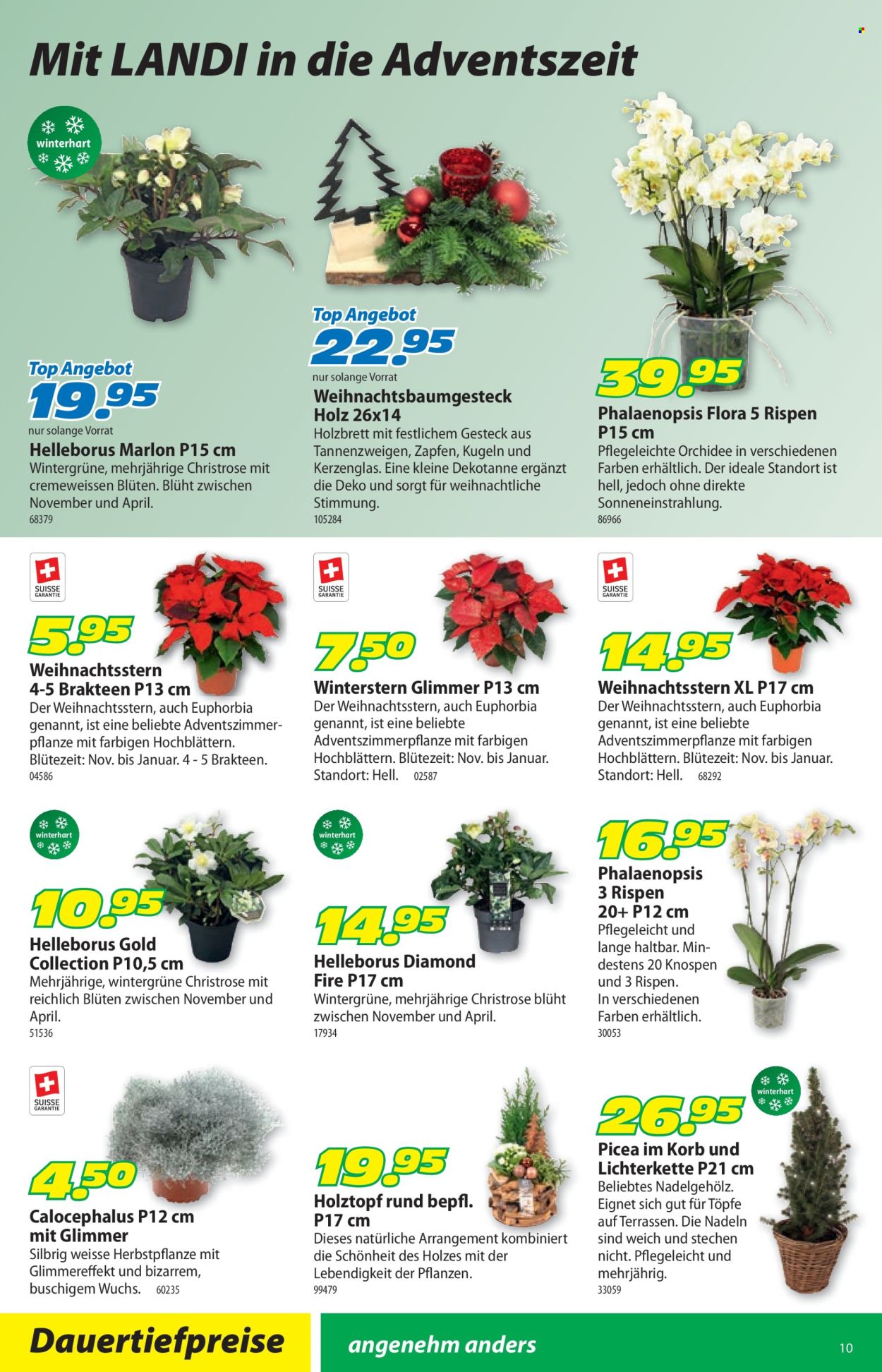 Catalogue Landi - 24.11.2025 - 7.12.2025. Page 14. Page 14