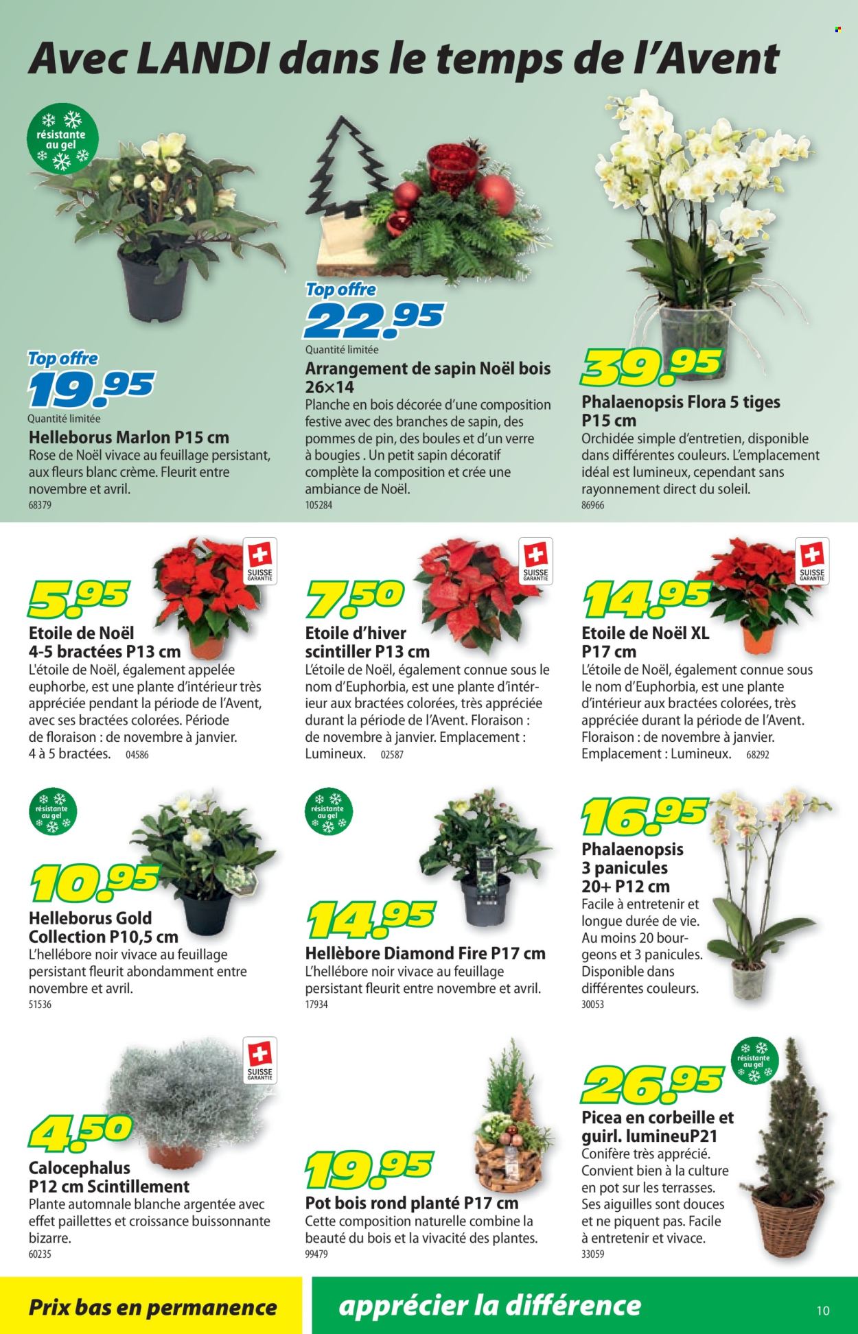 Catalogue Landi - 24.11.2025 - 7.12.2025. Page 14. Page 14