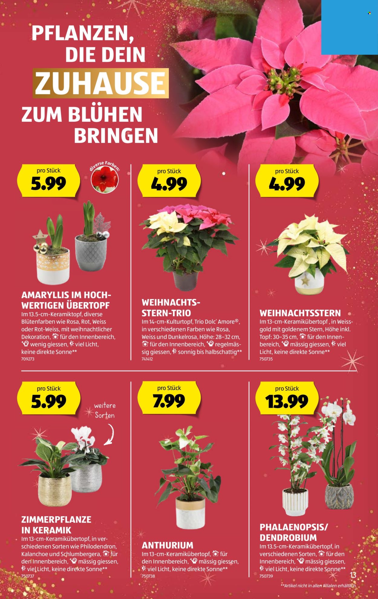 Catalogue Aldi - 4.12.2025 - 10.12.2025. Page 13. Page 13