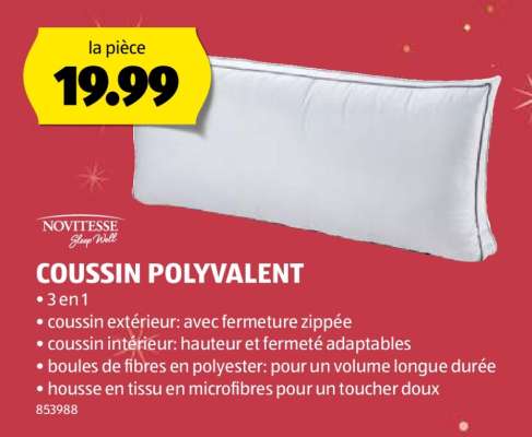 COUSSIN POLYVALENT