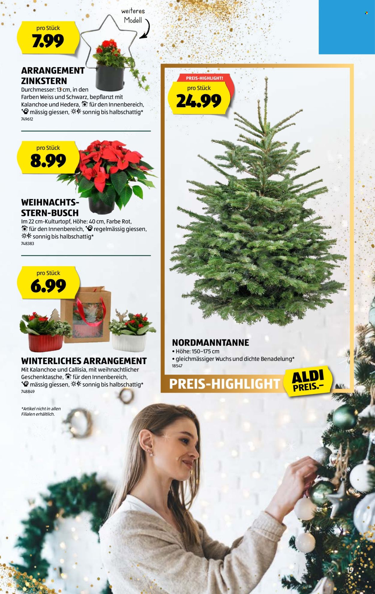 Catalogue Aldi - 11.12.2025 - 17.12.2025. Page 19. Page 19