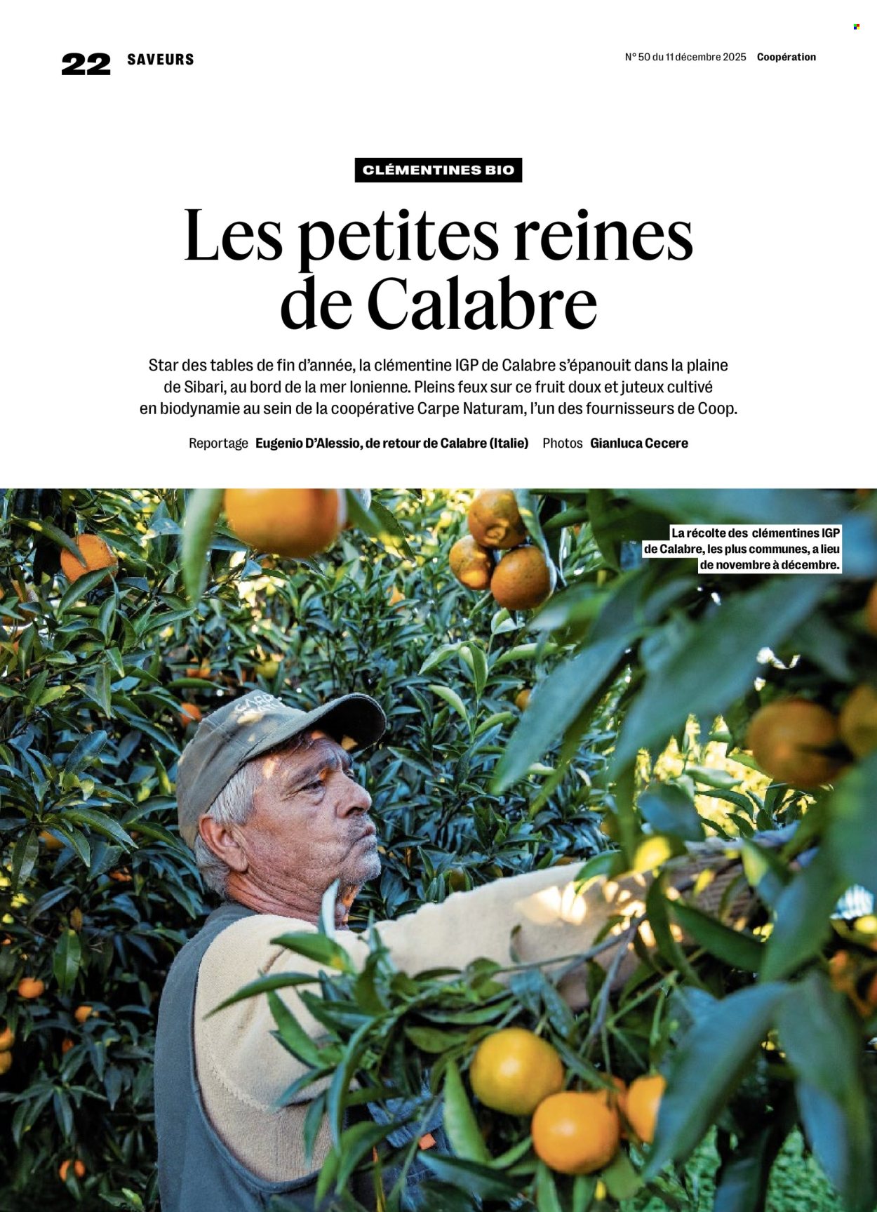 Catalogue Coop - 11.12.2025 - 17.12.2025. Page 22. Page 22