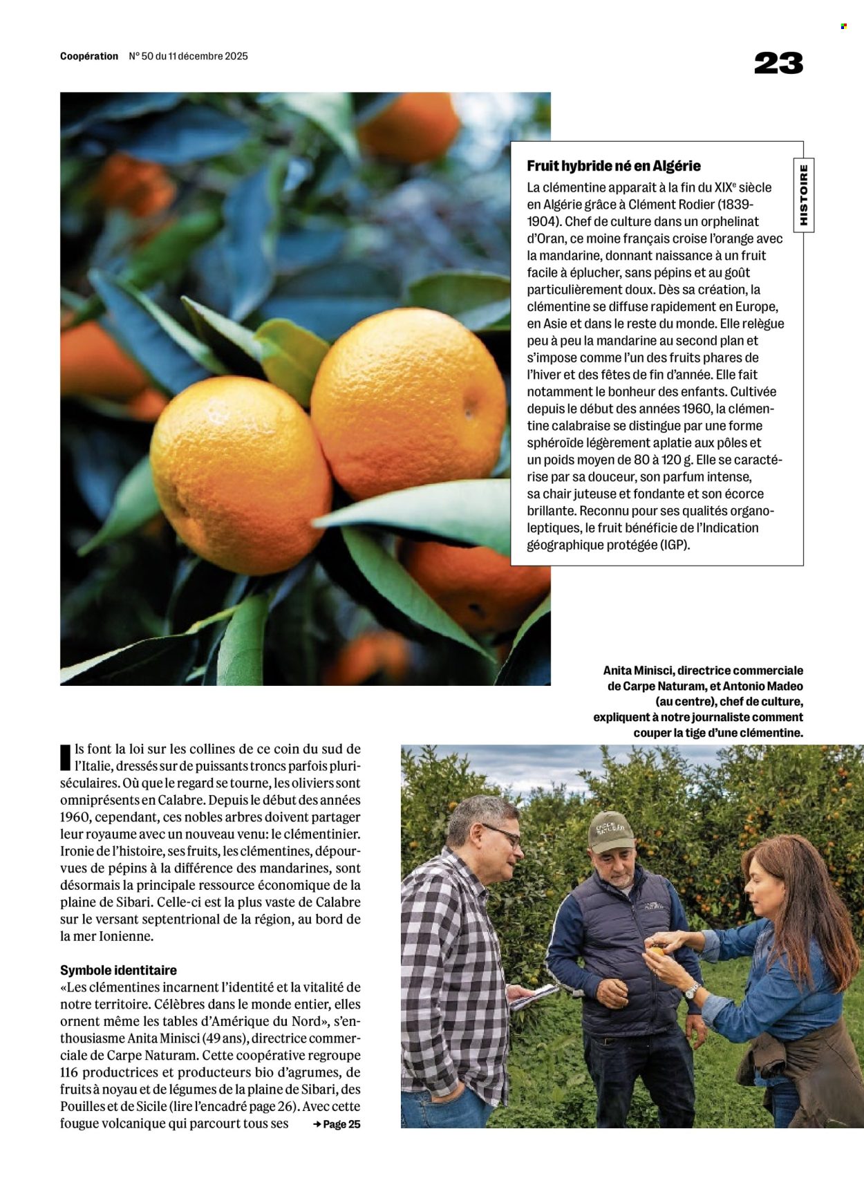 Catalogue Coop - 11.12.2025 - 17.12.2025. Page 23. Page 23