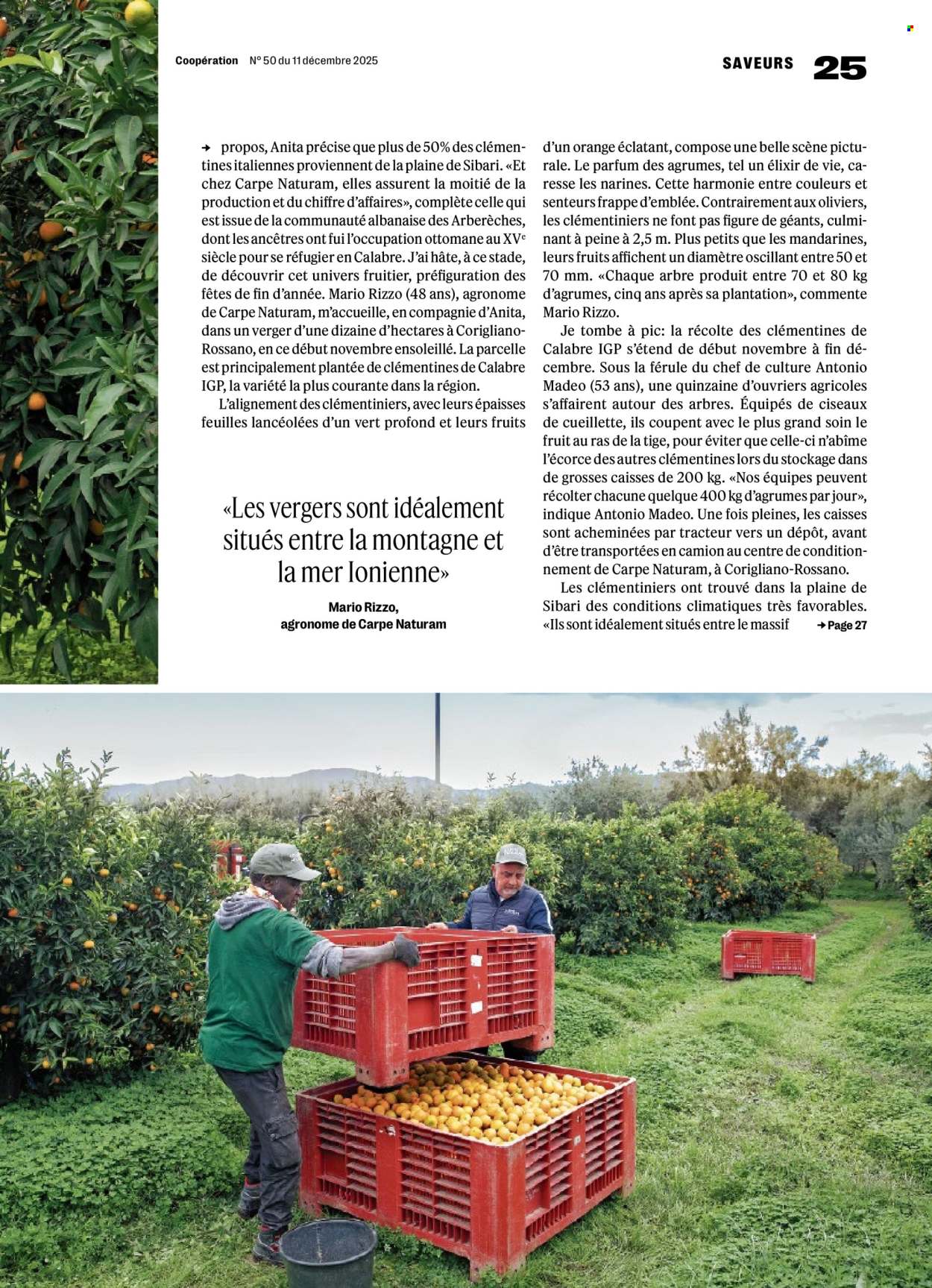 Catalogue Coop - 11.12.2025 - 17.12.2025. Page 25. Page 25