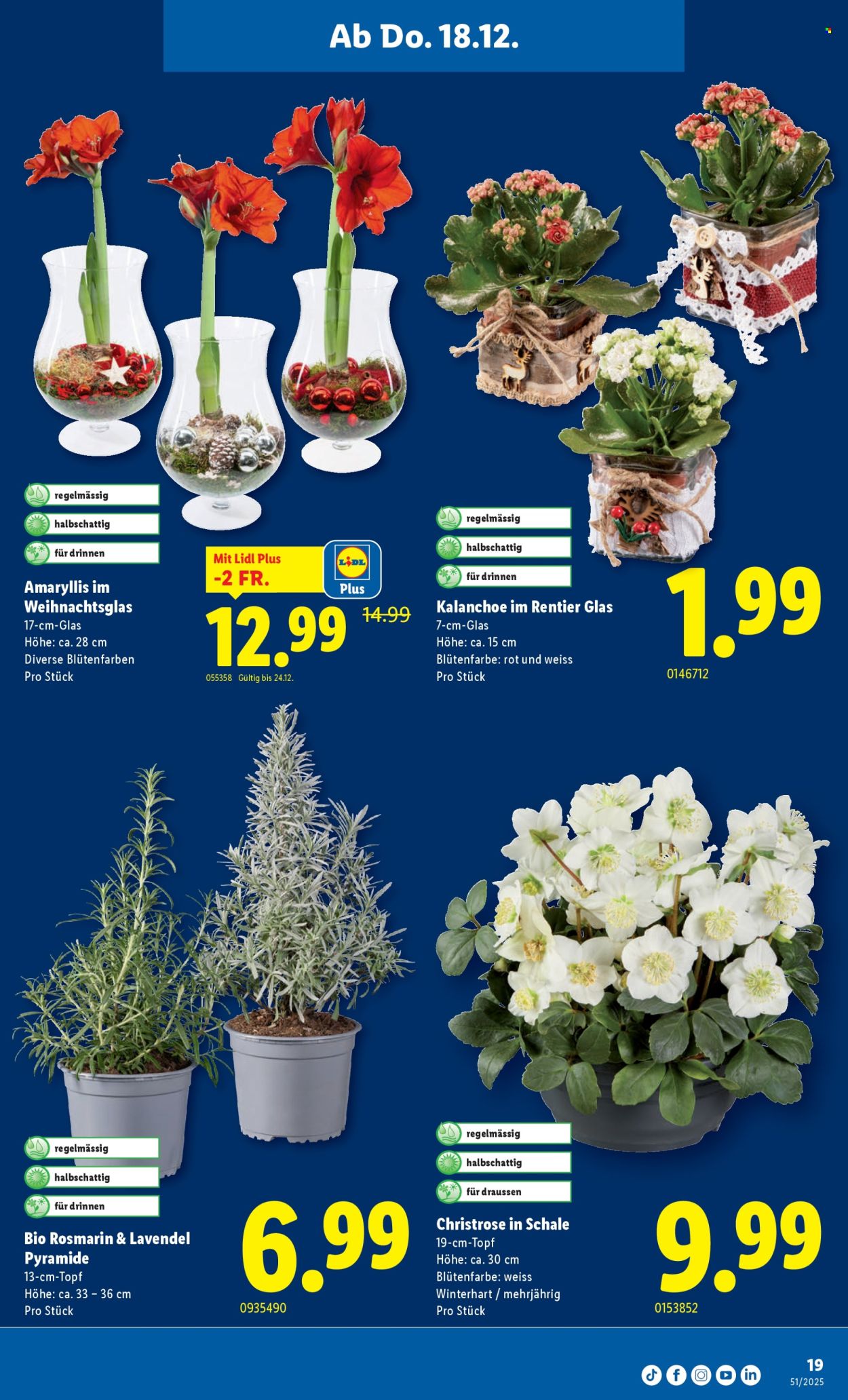 Catalogue Lidl - 18.12.2025 - 24.12.2025. Page 19. Page 19