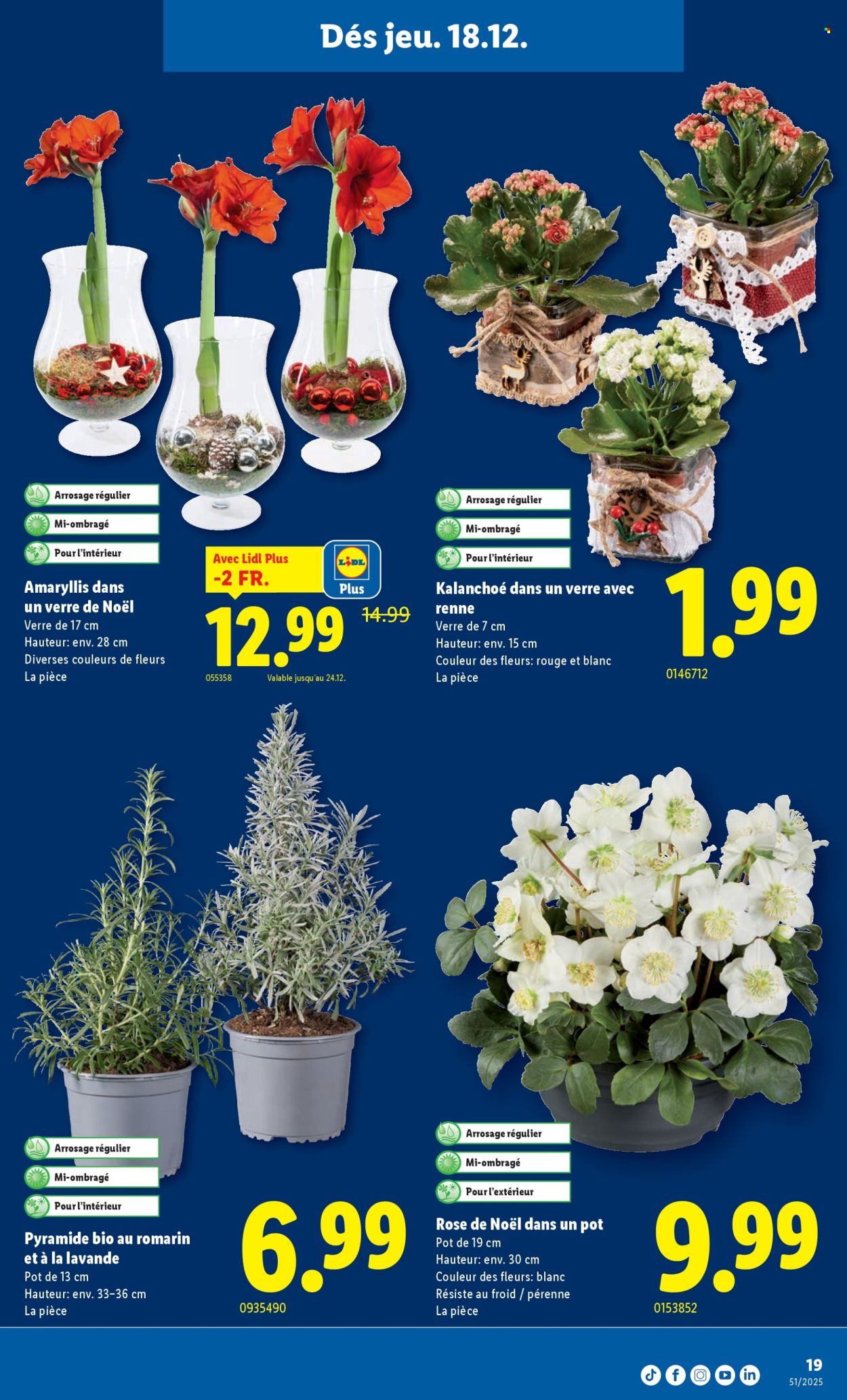 Catalogue Lidl - 18.12.2025 - 24.12.2025. Page 19. Page 19