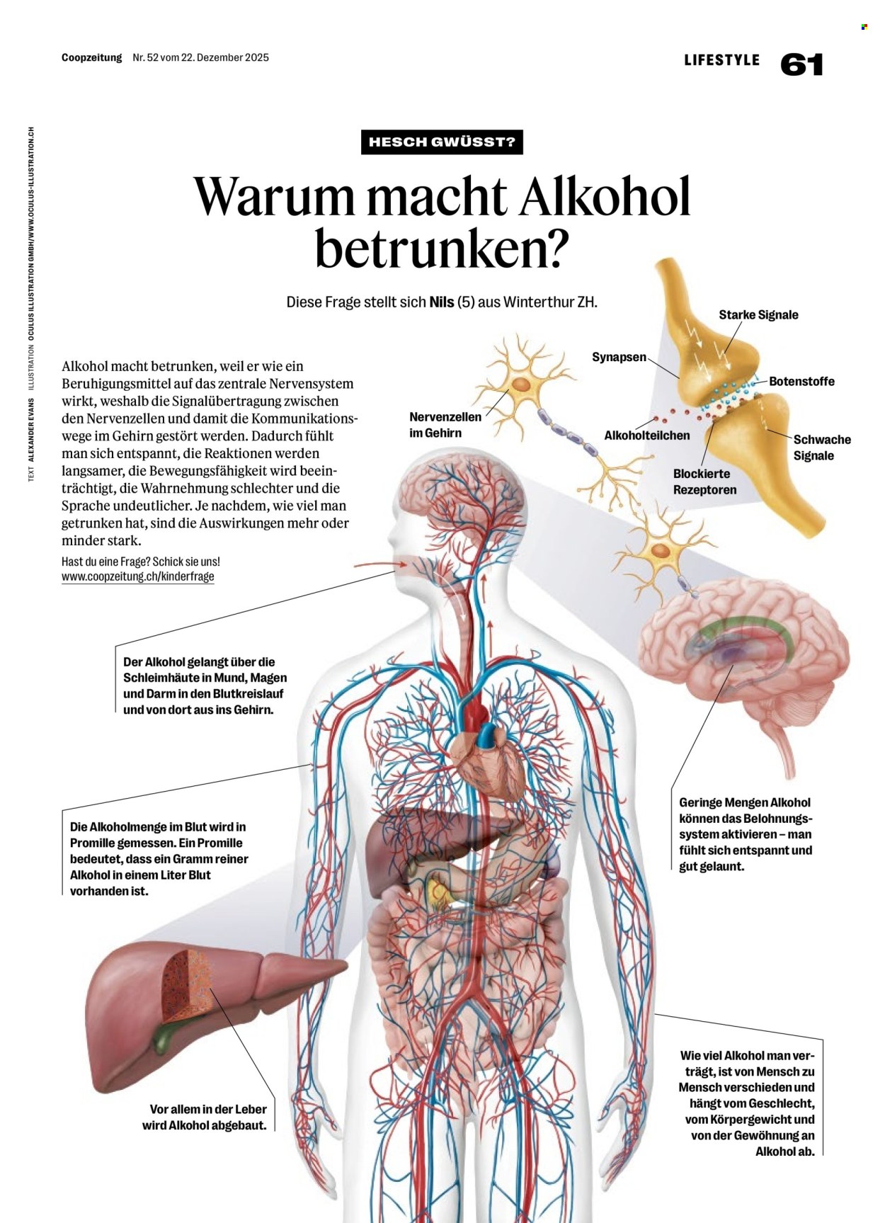 Catalogue Coop - 22.12.2025 - 28.12.2025. Page 61. Page 61