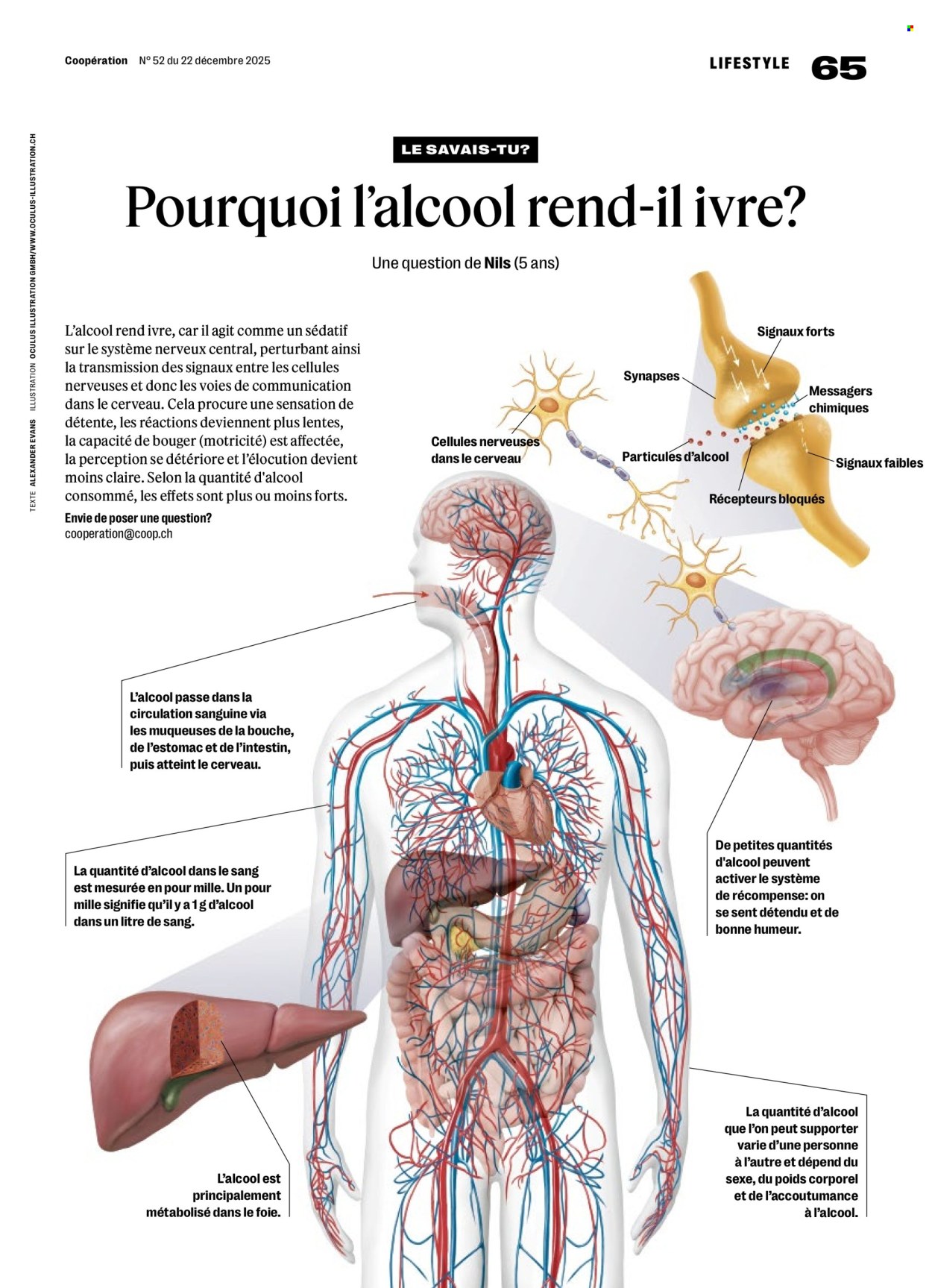 Catalogue Coop - 22.12.2025 - 28.12.2025. Page 65. Page 65