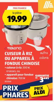 Cuiseur à riz ou appareil à fondue chinoise