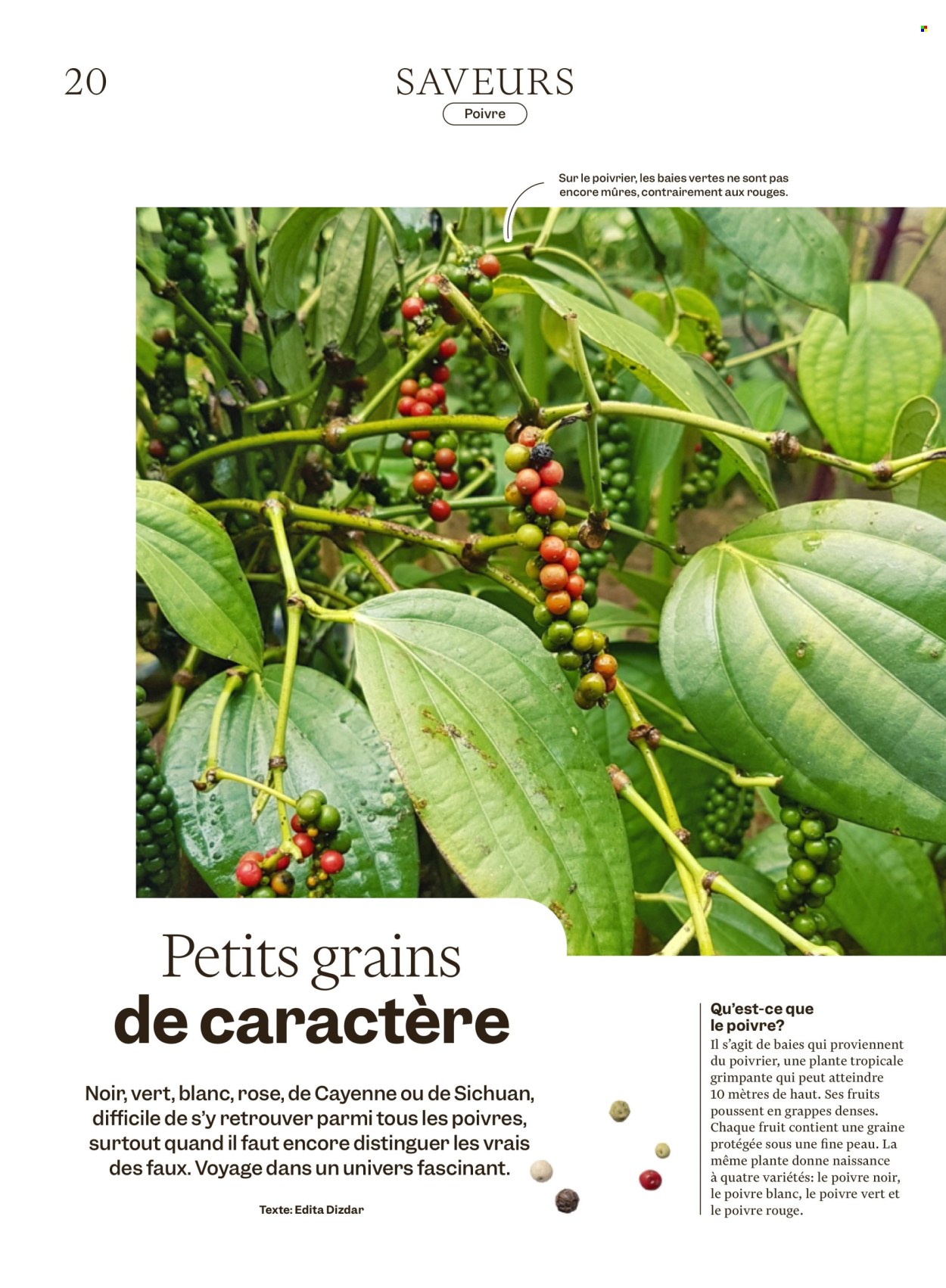 Catalogue Migros - 30.12.2025 - 5.1.2026. Page 20. Page 20