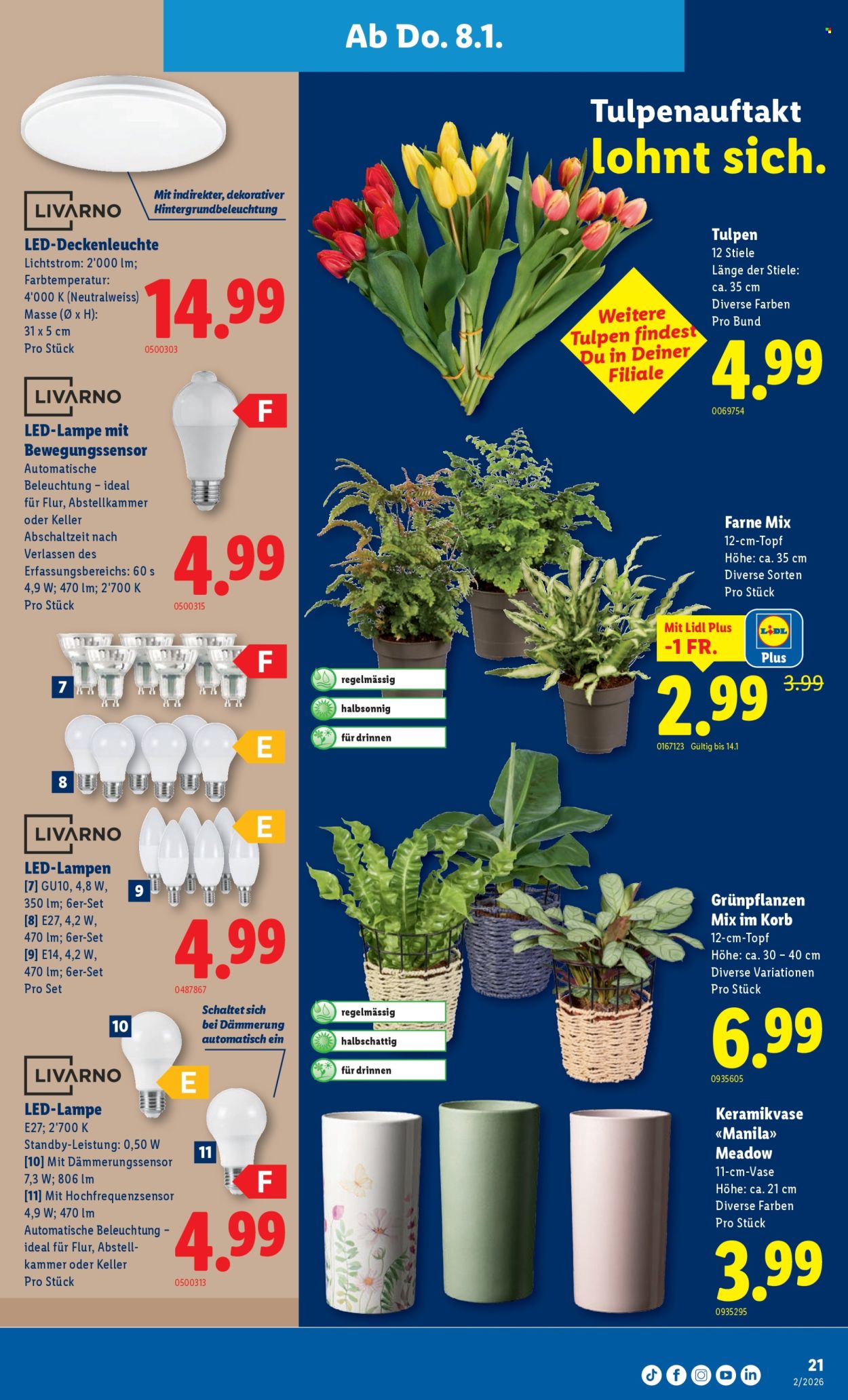 Catalogue Lidl - 8.1.2026 - 14.1.2026. Page 21. Page 21