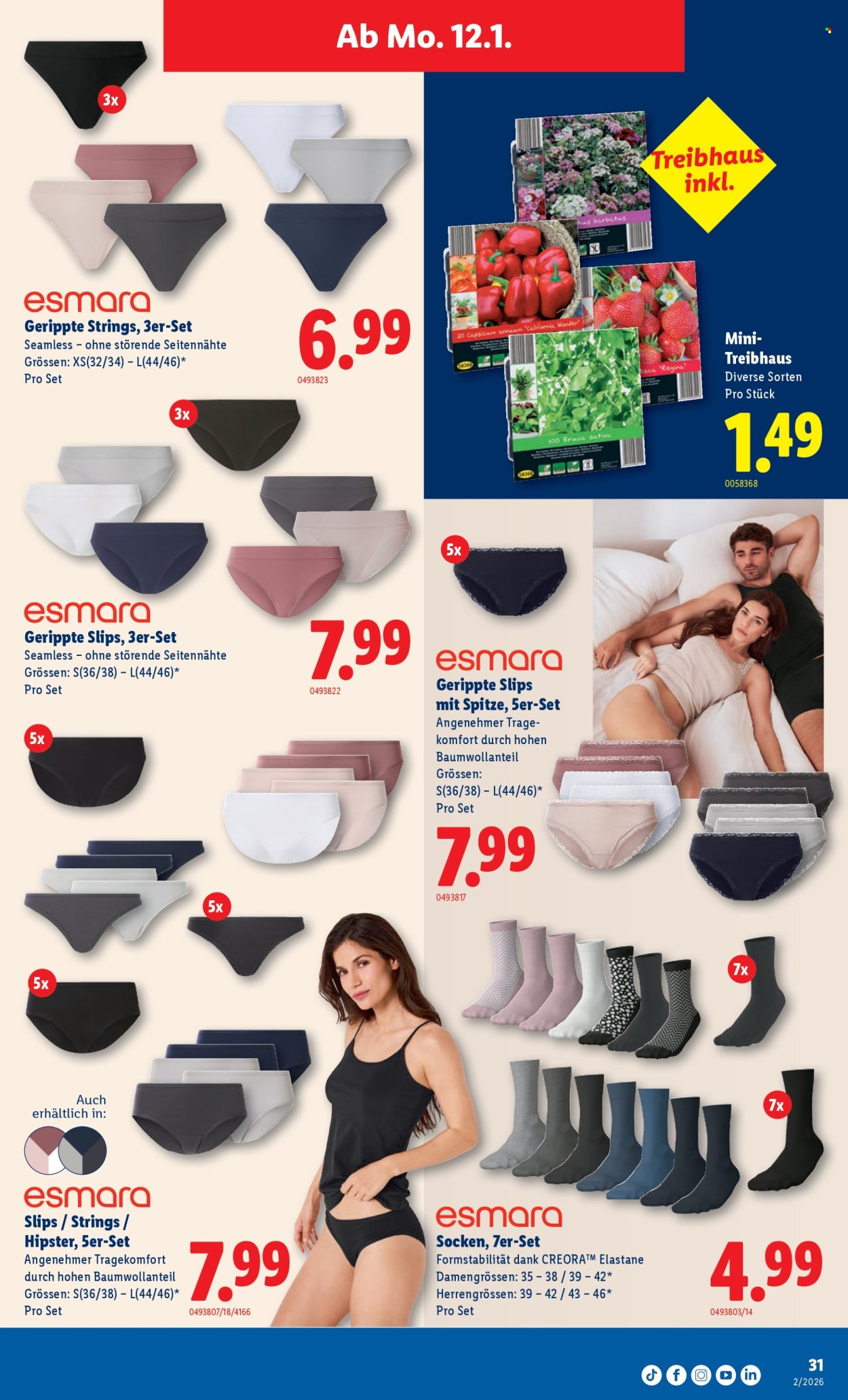 Catalogue Lidl - 8.1.2026 - 14.1.2026. Page 31. Page 31