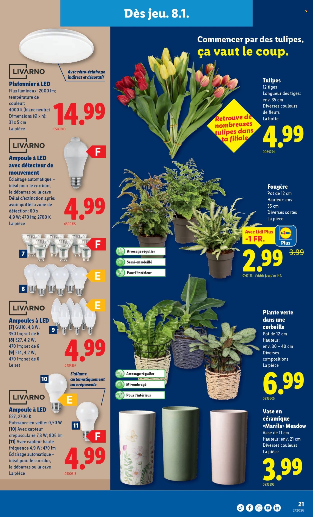 Catalogue Lidl - 8.1.2026 - 14.1.2026. Page 21. Page 21