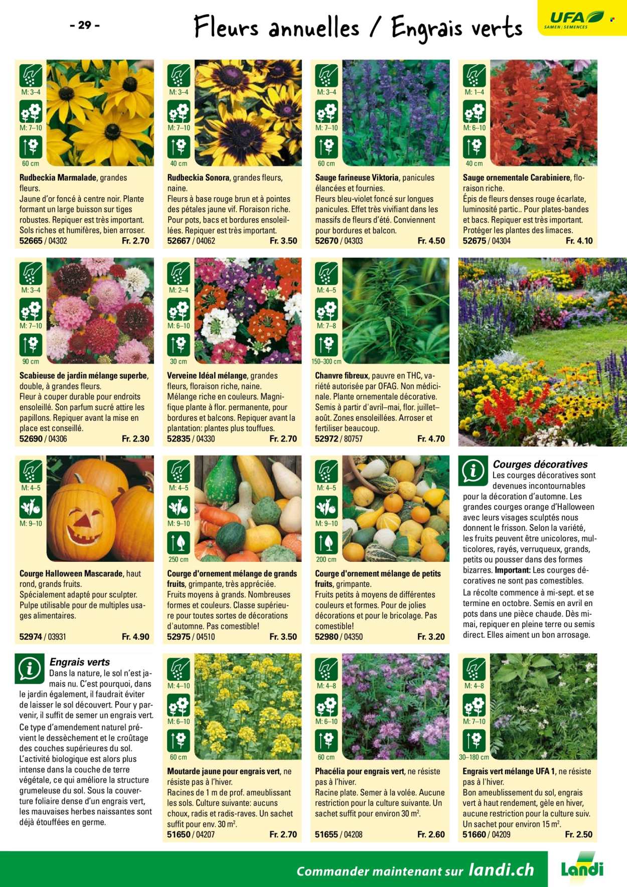 Catalogue Landi. Page 31. Page 31