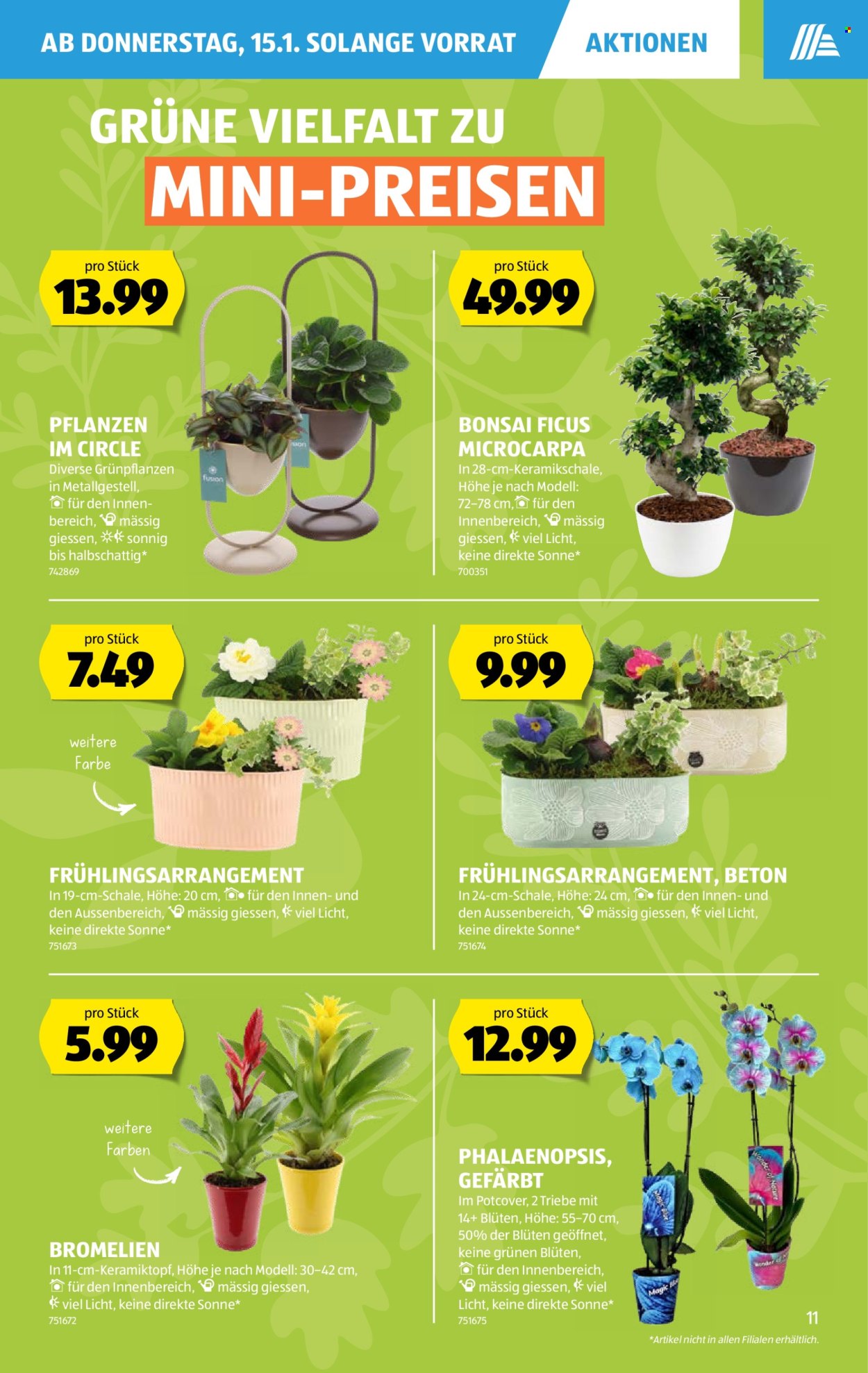 Catalogue Aldi - 15.1.2026 - 21.1.2026. Page 11. Page 11