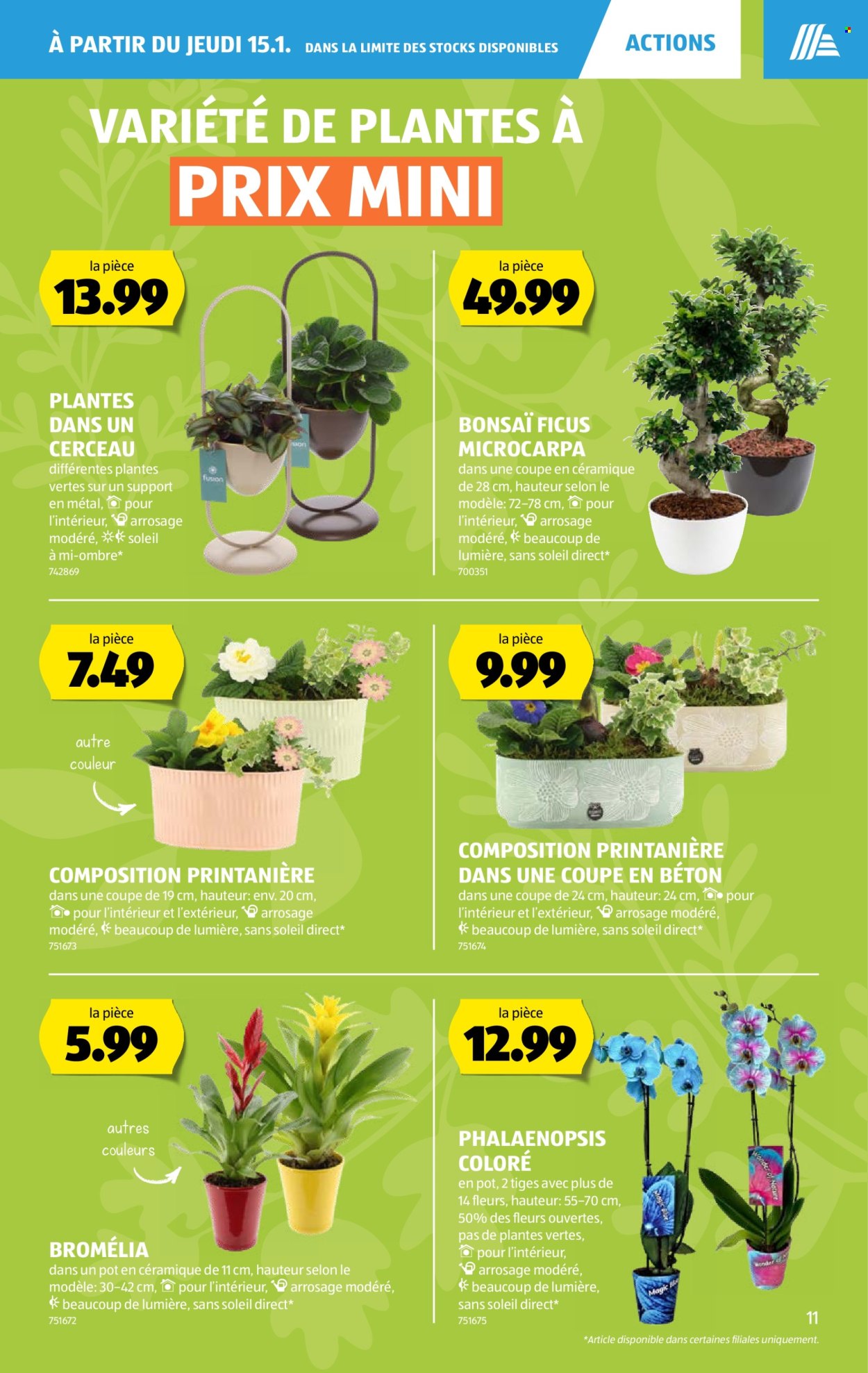 Catalogue Aldi - 15.1.2026 - 21.1.2026. Page 11. Page 11