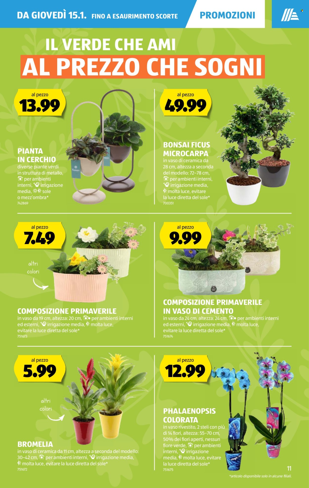 Catalogue Aldi - 15.1.2026 - 21.1.2026. Page 11. Page 11