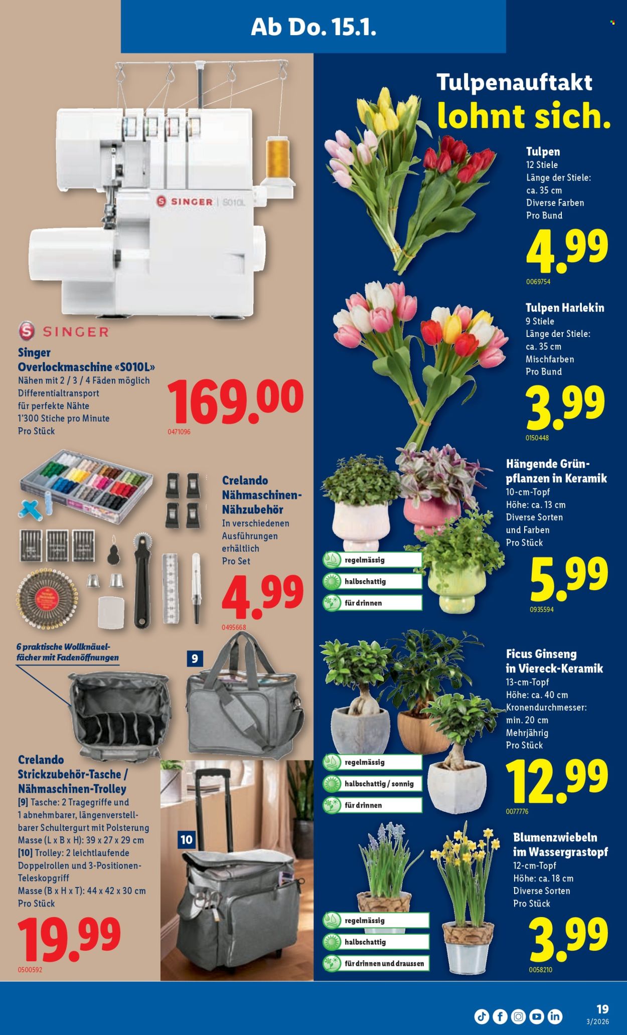Catalogue Lidl - 15.1.2026 - 21.1.2026. Page 19. Page 19