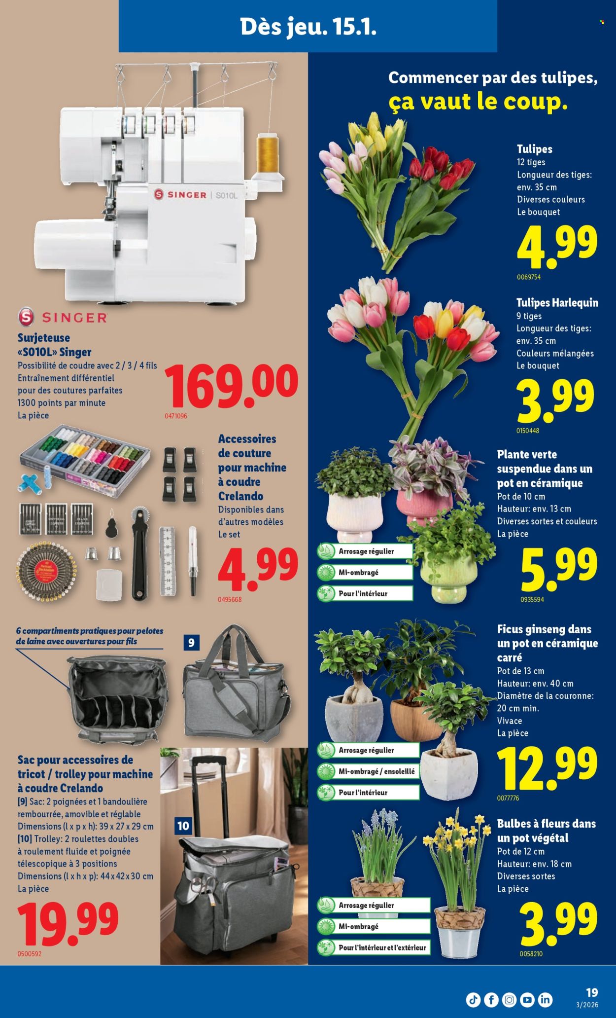 Catalogue Lidl - 15.1.2026 - 21.1.2026. Page 19. Page 19