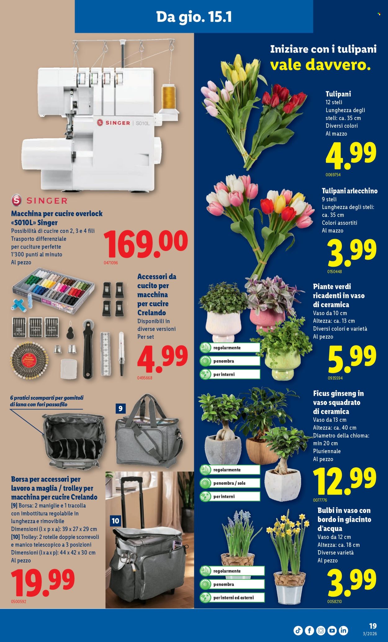 Catalogue Lidl - 15.1.2026 - 21.1.2026. Page 19. Page 19