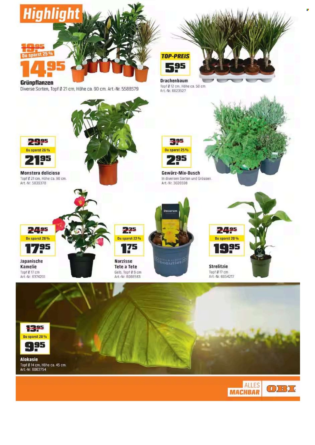 Catalogue OBI - 11.1.2026 - 31.1.2026. Page 13. Page 13