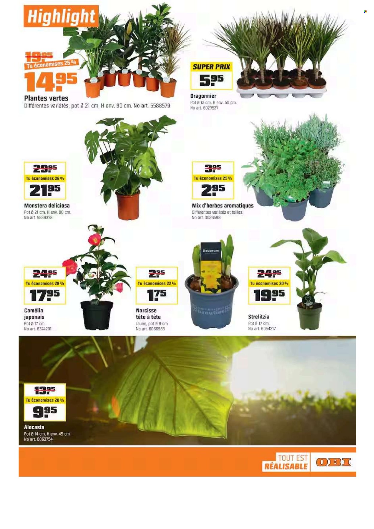 Catalogue OBI - 11.1.2026 - 31.1.2026. Page 13. Page 13