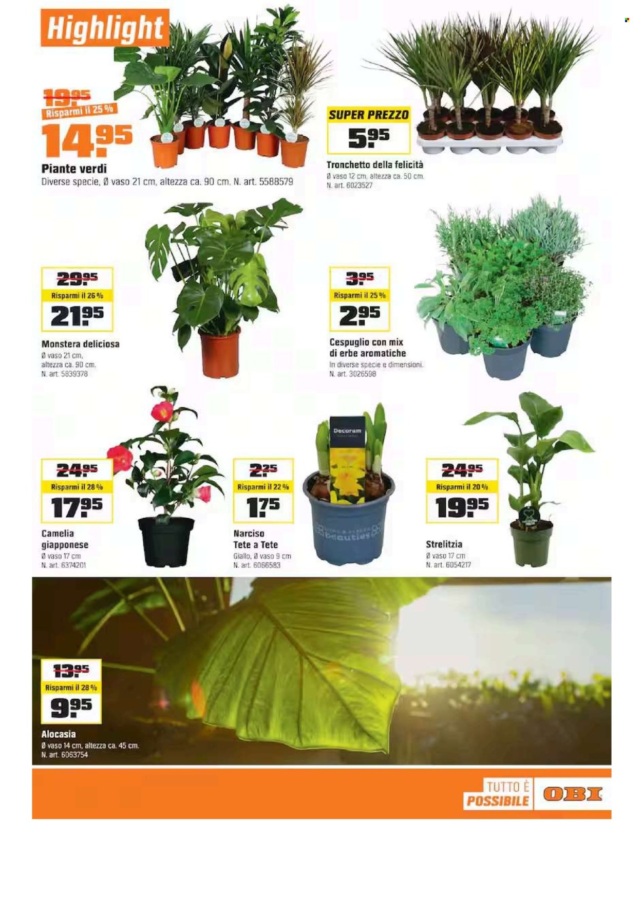 Catalogue OBI - 11.1.2026 - 31.1.2026. Page 29. Page 29