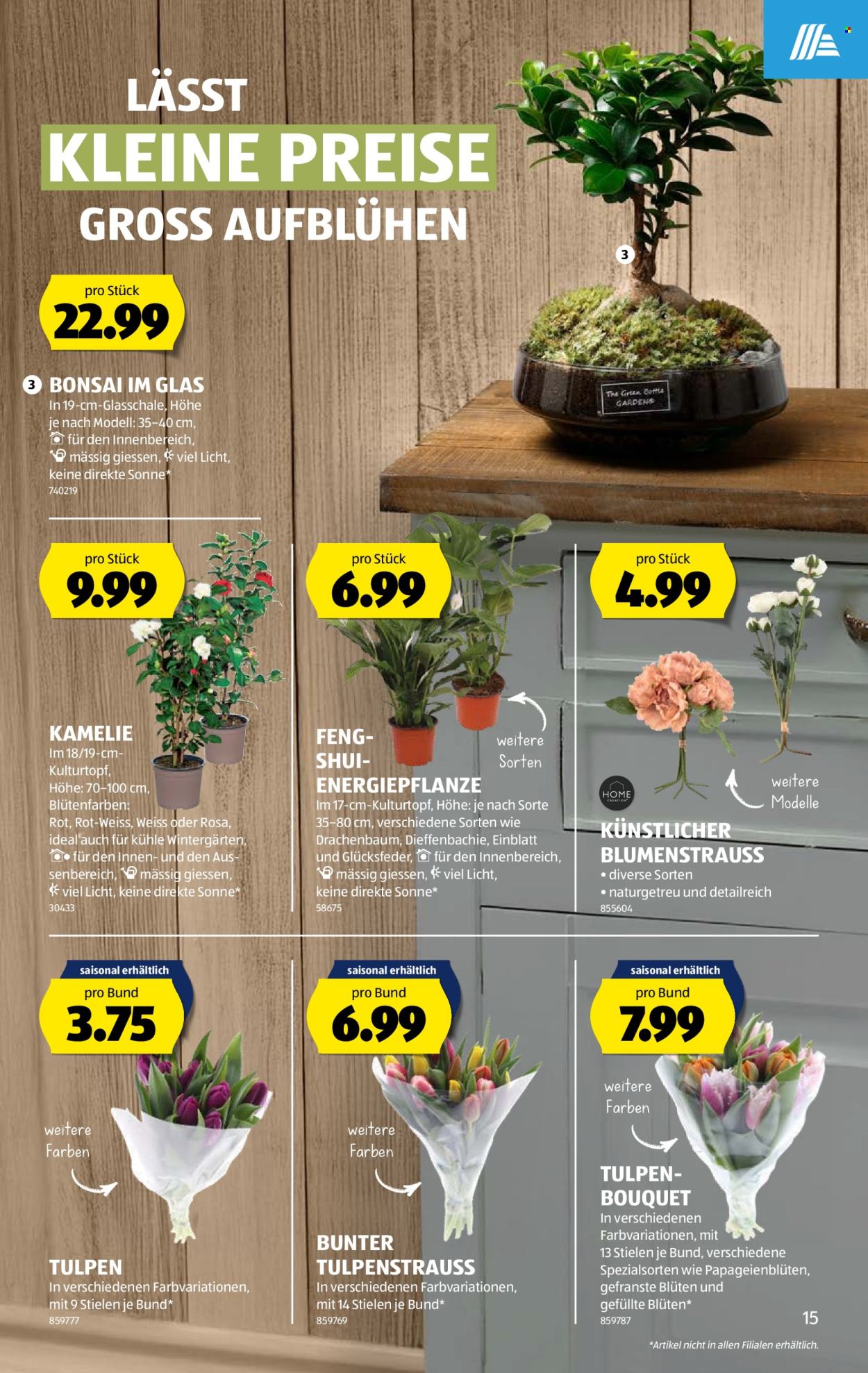 Catalogue Aldi - 22.1.2026 - 28.1.2026. Page 15. Page 15