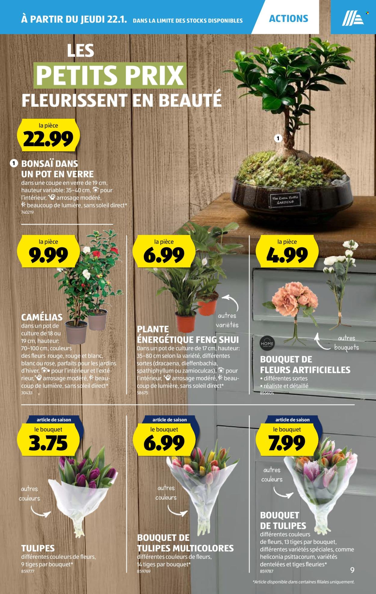 Catalogue Aldi - 22.1.2026 - 28.1.2026. Page 9. Page 9