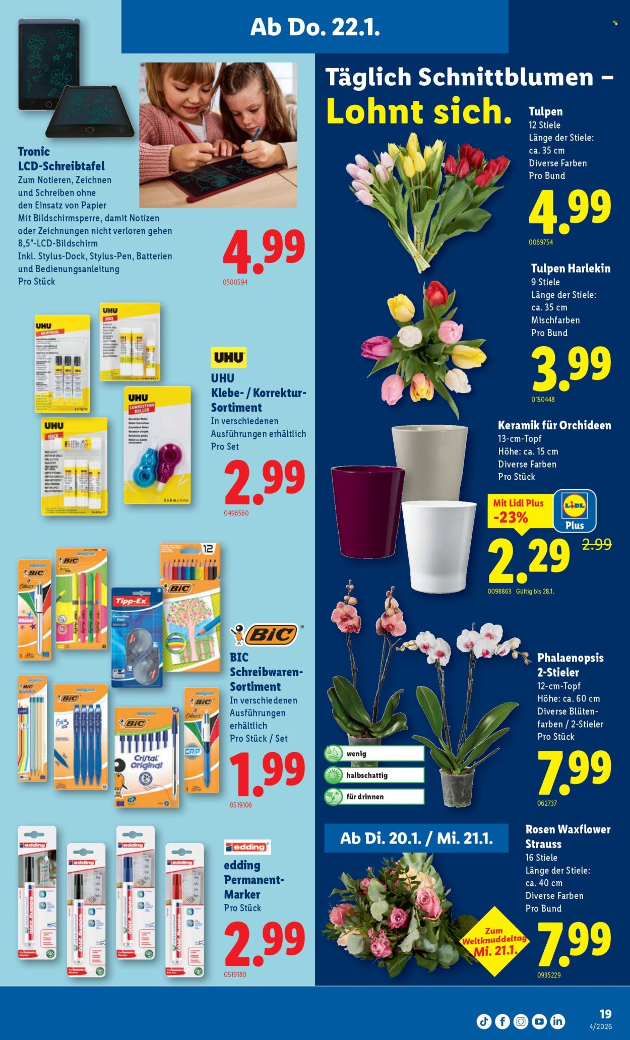 Catalogue Lidl - 22.1.2026 - 28.1.2026. Page 19. Page 19