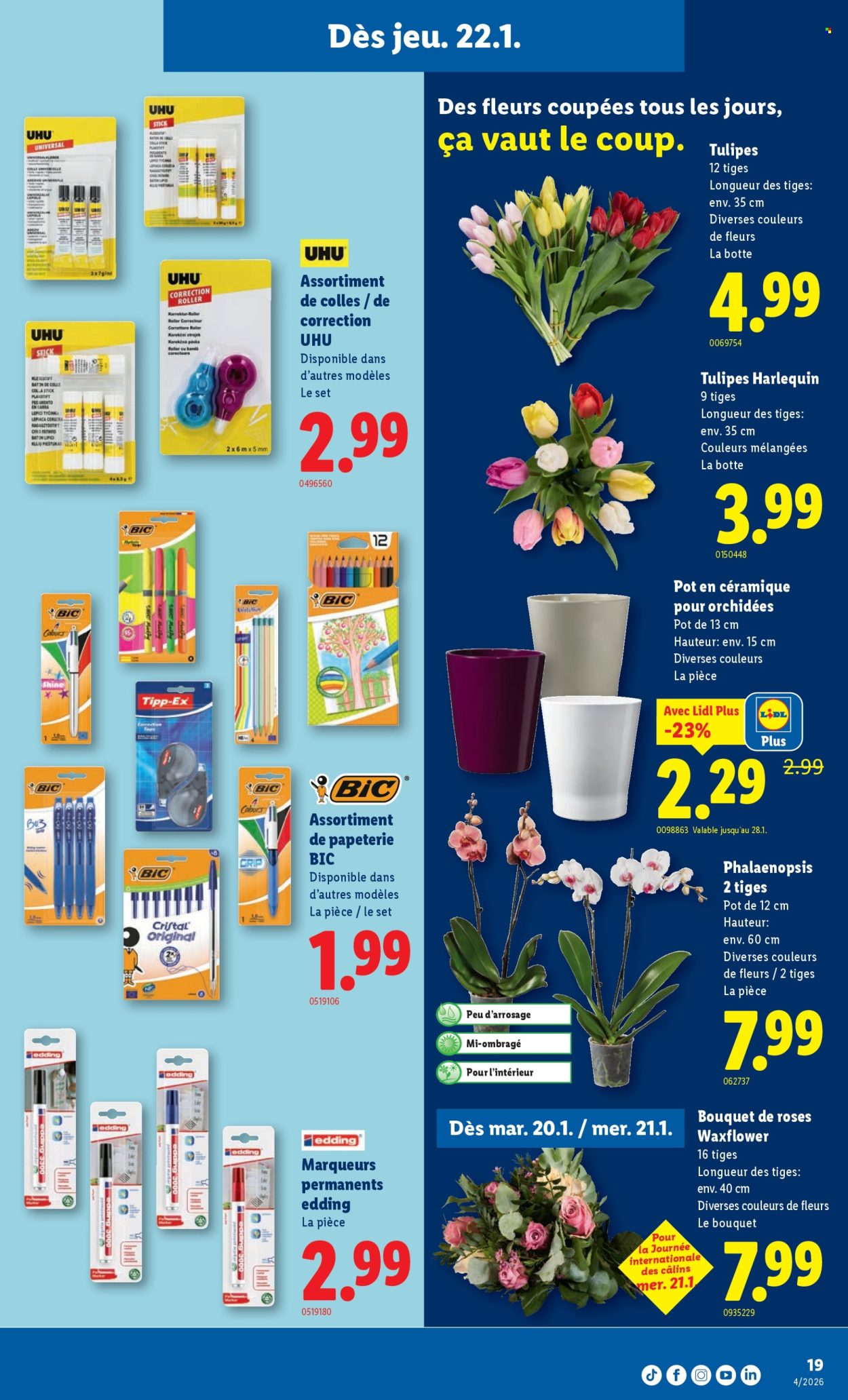 Catalogue Lidl - 22.1.2026 - 28.1.2026. Page 19. Page 19