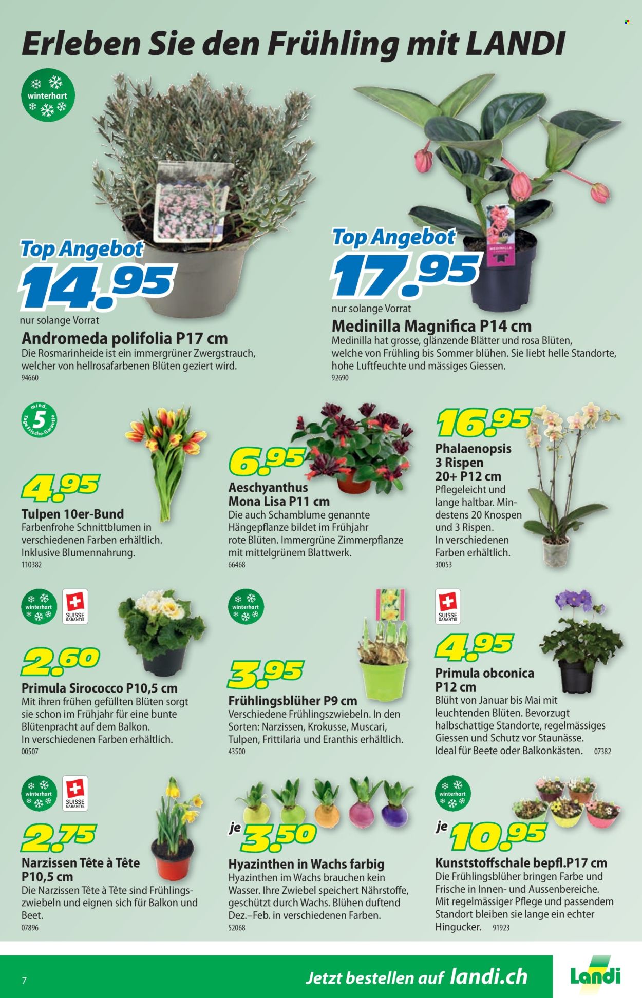 Catalogue Landi - 19.1.2026 - 1.2.2026. Page 11. Page 11