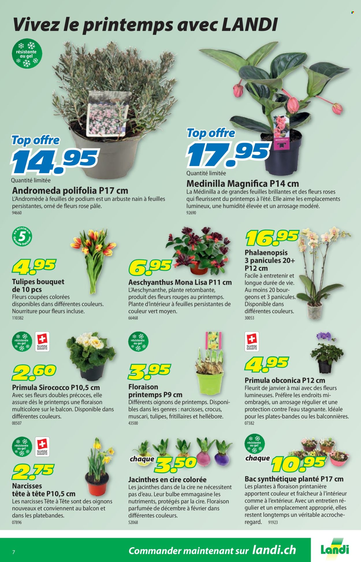 Catalogue Landi - 19.1.2026 - 1.2.2026. Page 11. Page 11