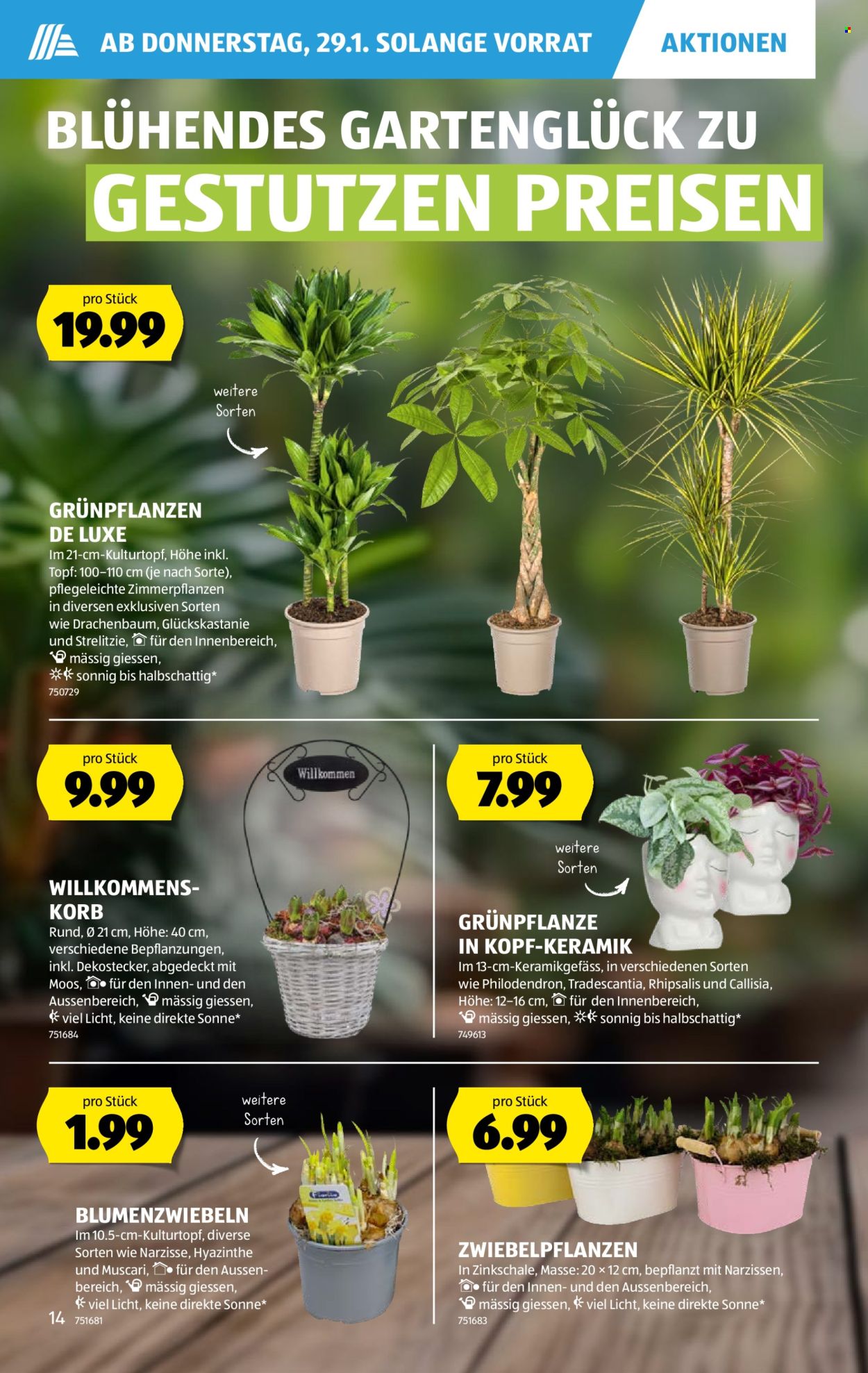 Catalogue Aldi - 29.1.2026 - 4.2.2026. Page 14. Page 14