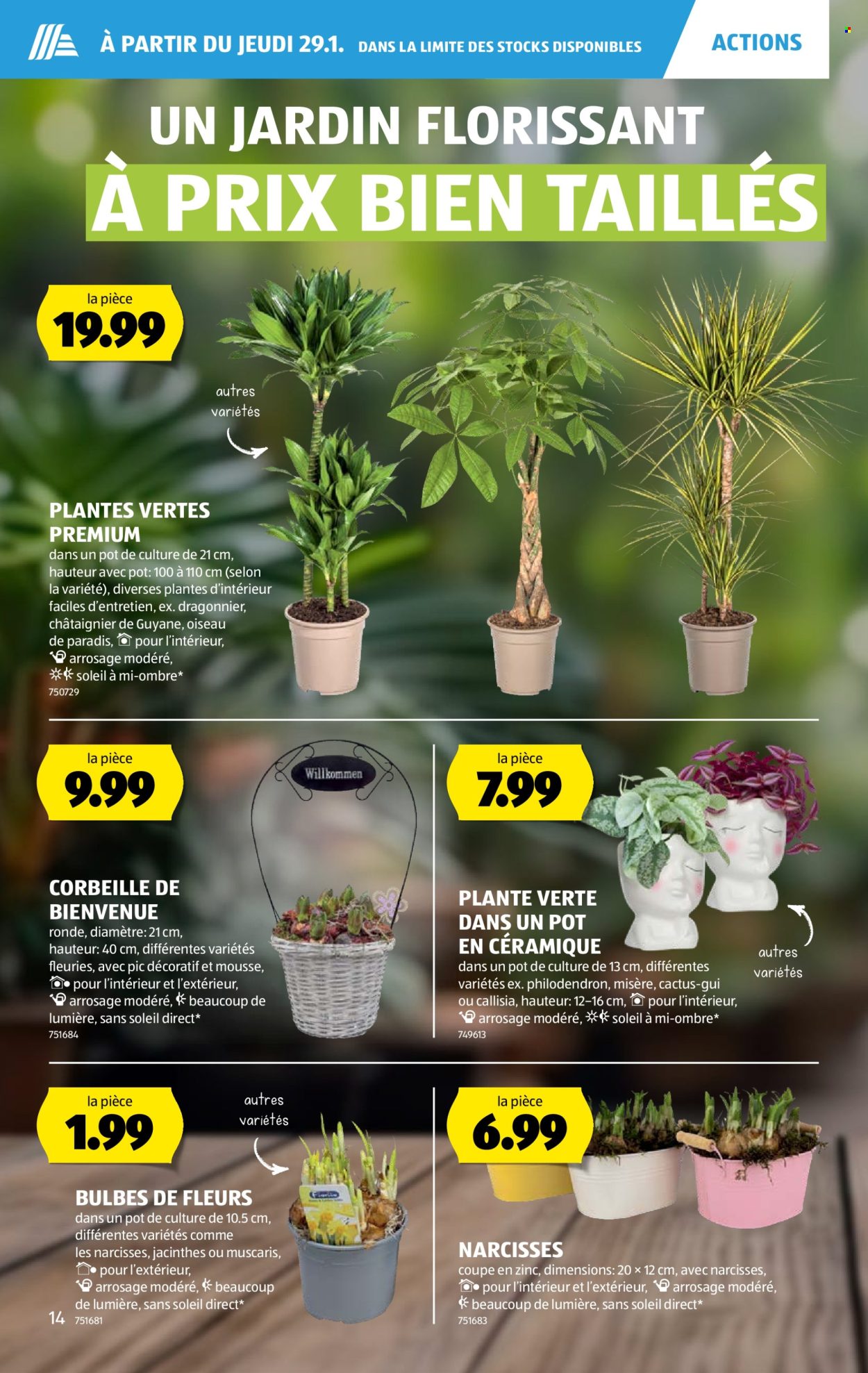 Catalogue Aldi - 29.1.2026 - 4.2.2026. Page 14. Page 14