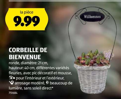 CORBEILLE DE BIENVENUE