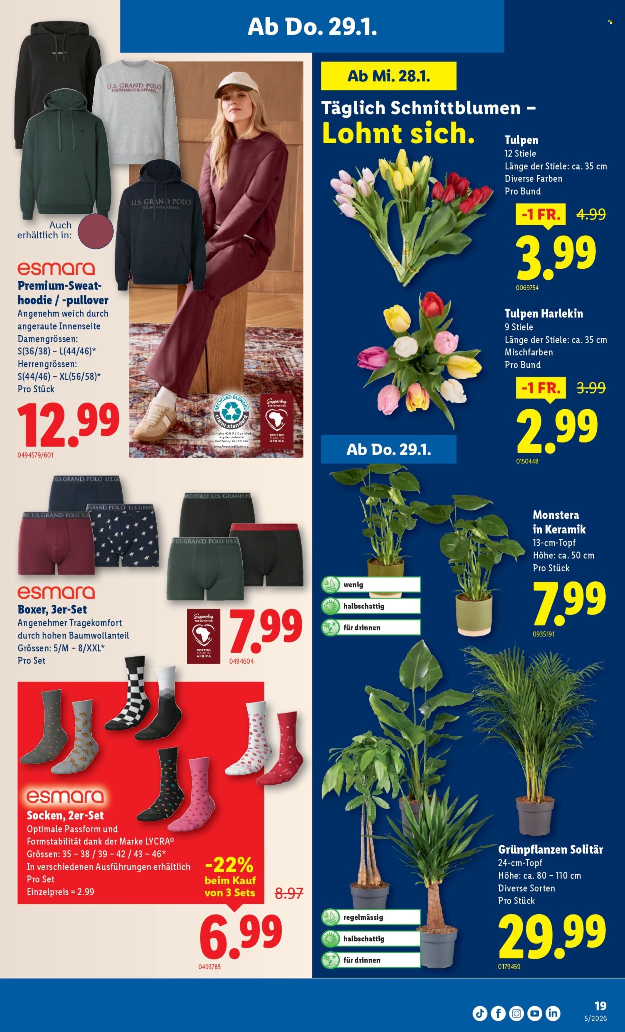 Catalogue Lidl - 29.1.2026 - 4.2.2026. Page 19. Page 19