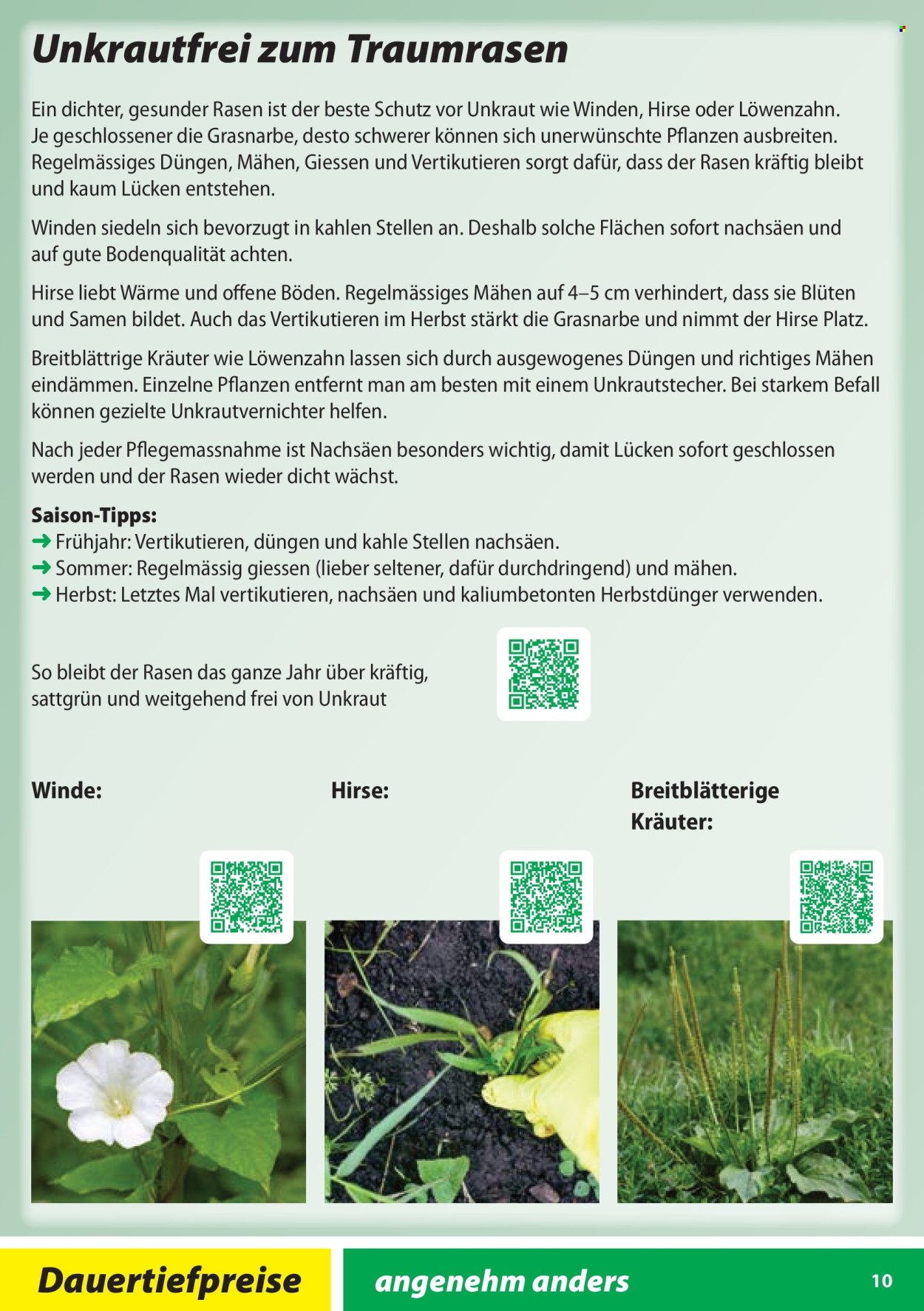 Catalogue Landi - 28.1.2026 - 31.10.2026. Page 10. Page 10