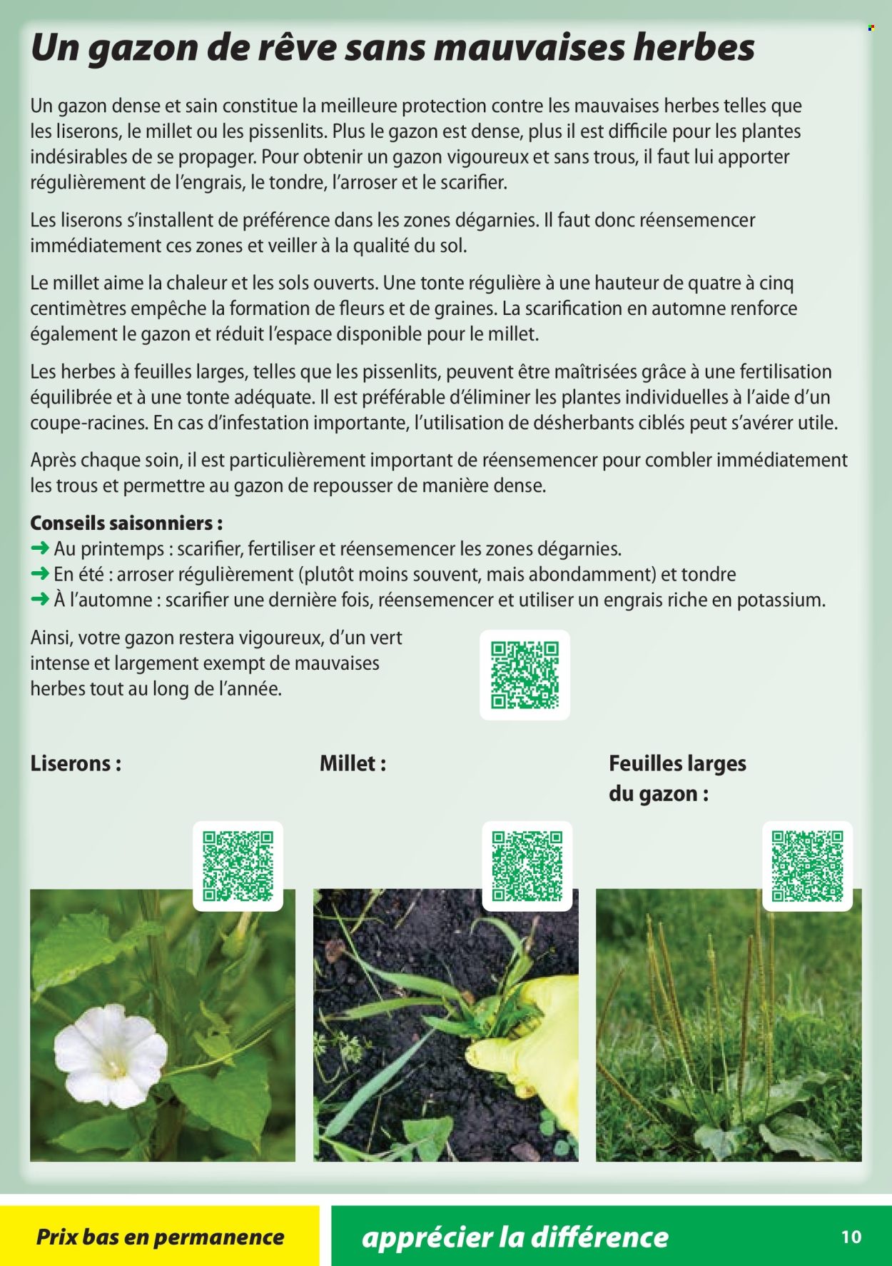 Catalogue Landi - 28.1.2026 - 31.10.2026. Page 10. Page 10