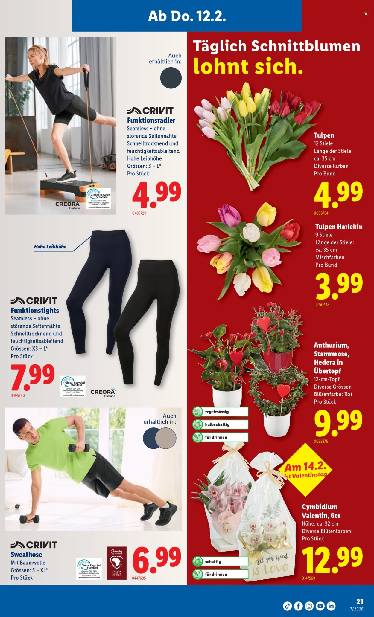 Catalogue Lidl - 12.2.2026 - 18.2.2026. Page 21. Page 21