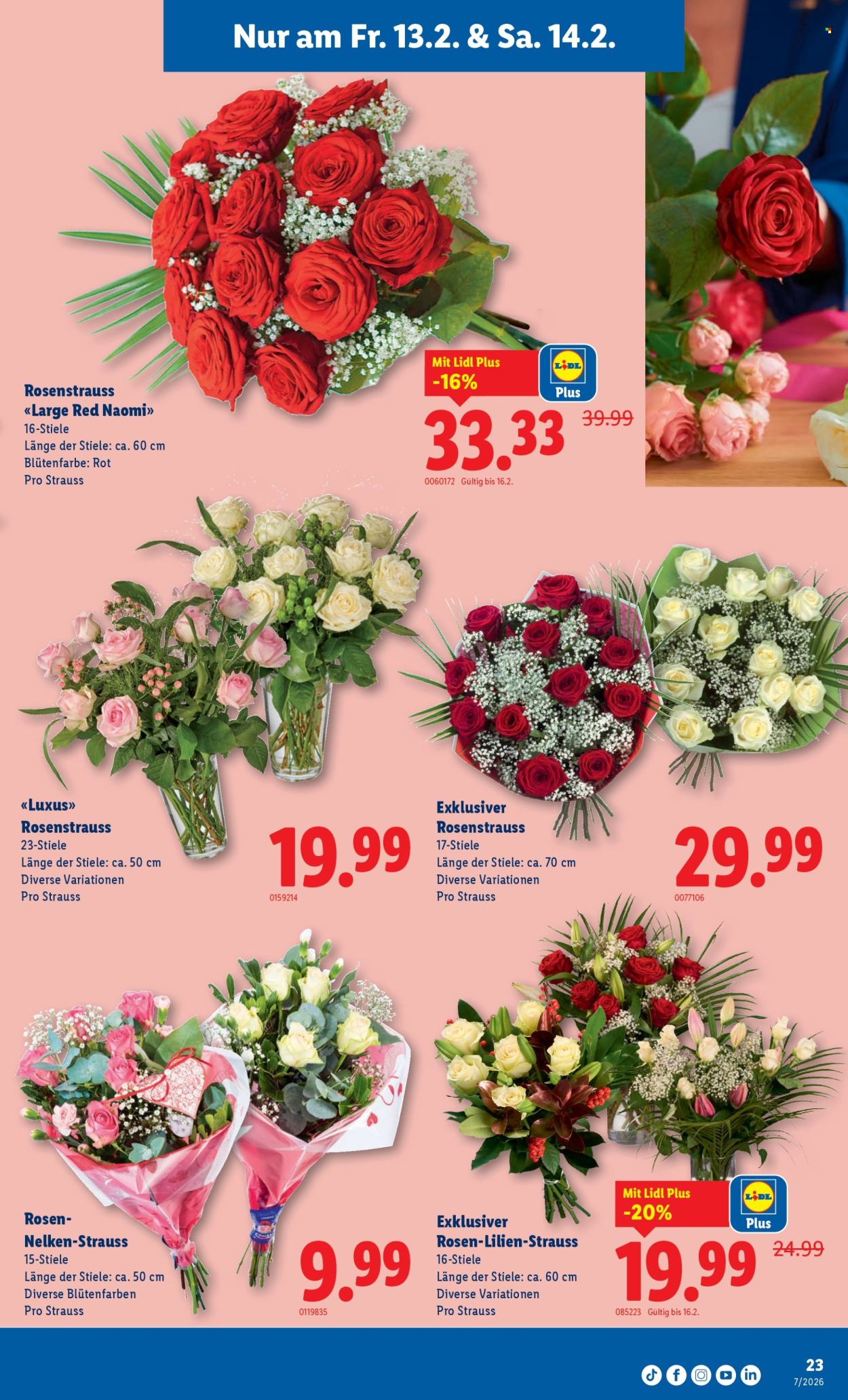 Catalogue Lidl - 12.2.2026 - 18.2.2026. Page 23. Page 23