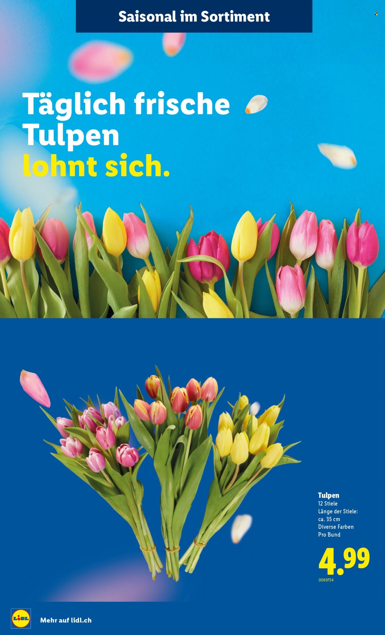 Catalogue Lidl - 12.2.2026 - 18.2.2026. Page 33. Page 33