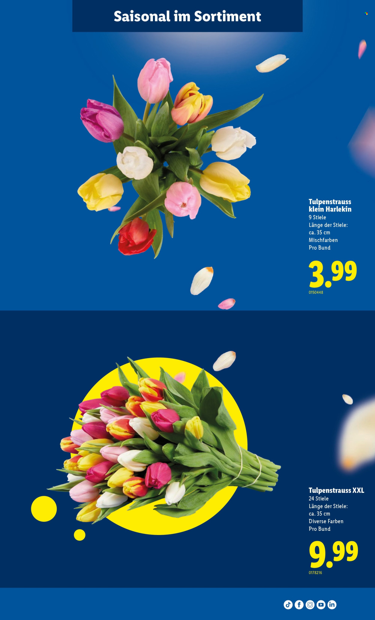 Catalogue Lidl - 12.2.2026 - 18.2.2026. Page 34. Page 34