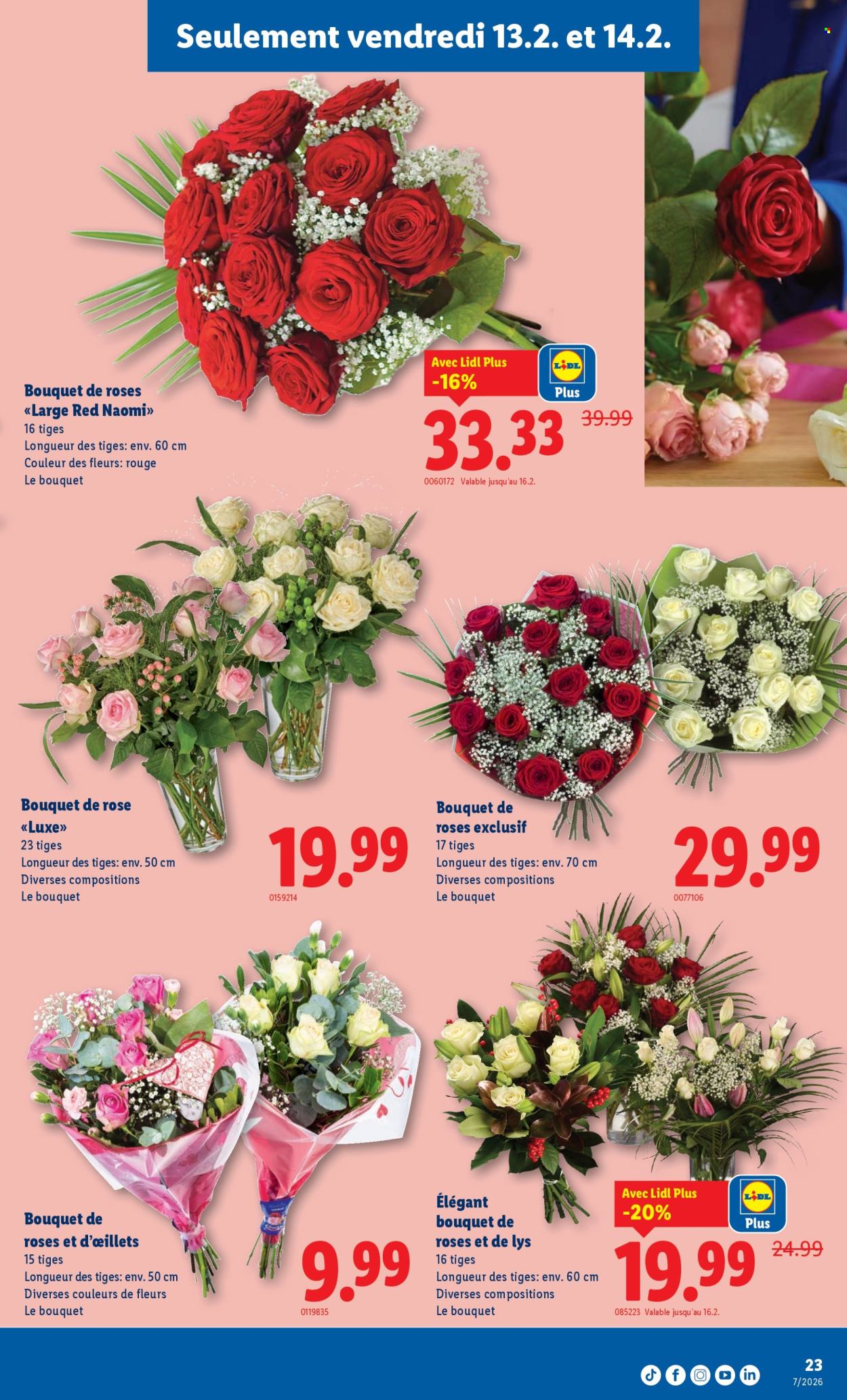 Catalogue Lidl - 12.2.2026 - 18.2.2026. Page 23. Page 23