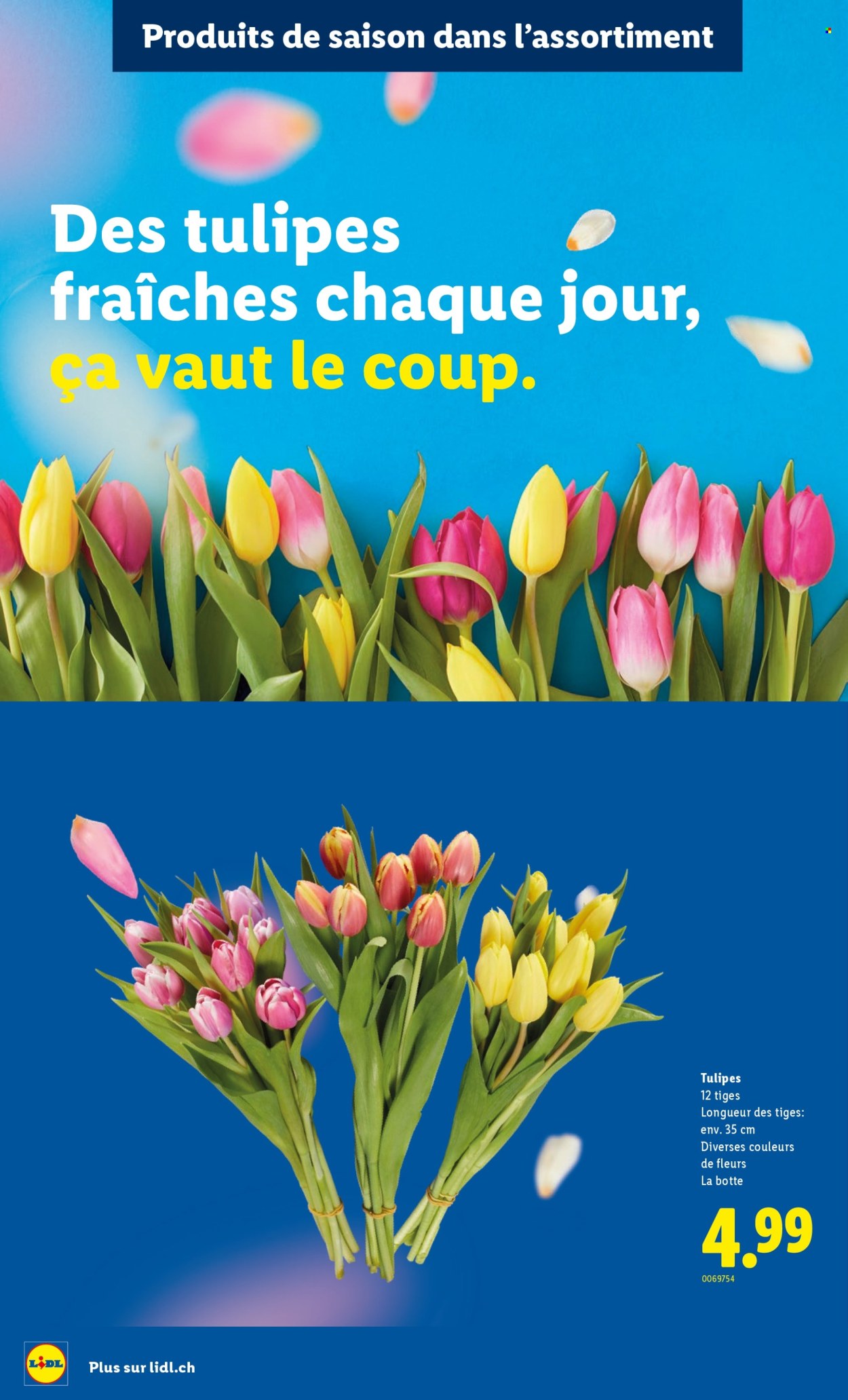 Catalogue Lidl - 12.2.2026 - 18.2.2026. Page 33. Page 33