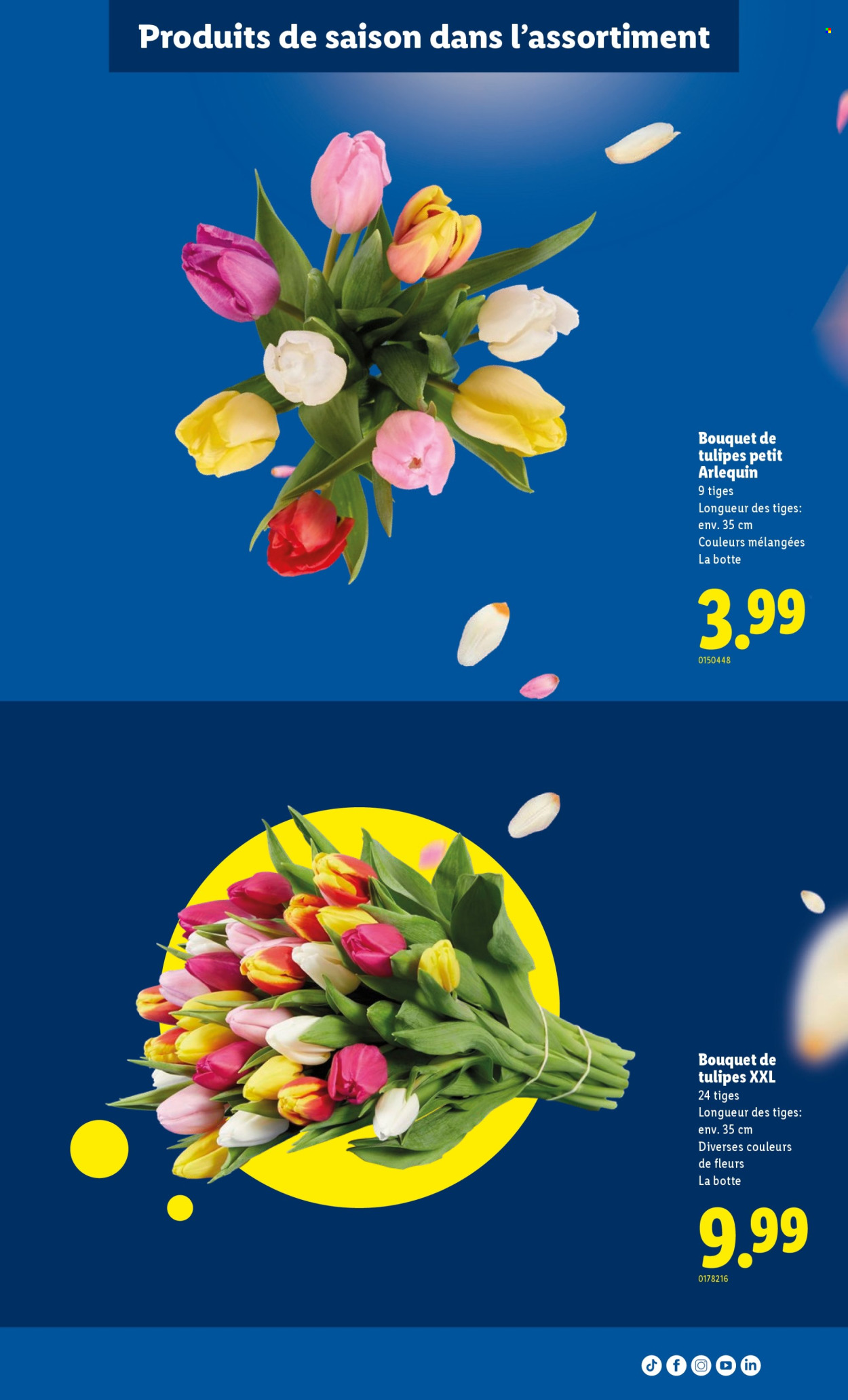Catalogue Lidl - 12.2.2026 - 18.2.2026. Page 34. Page 34