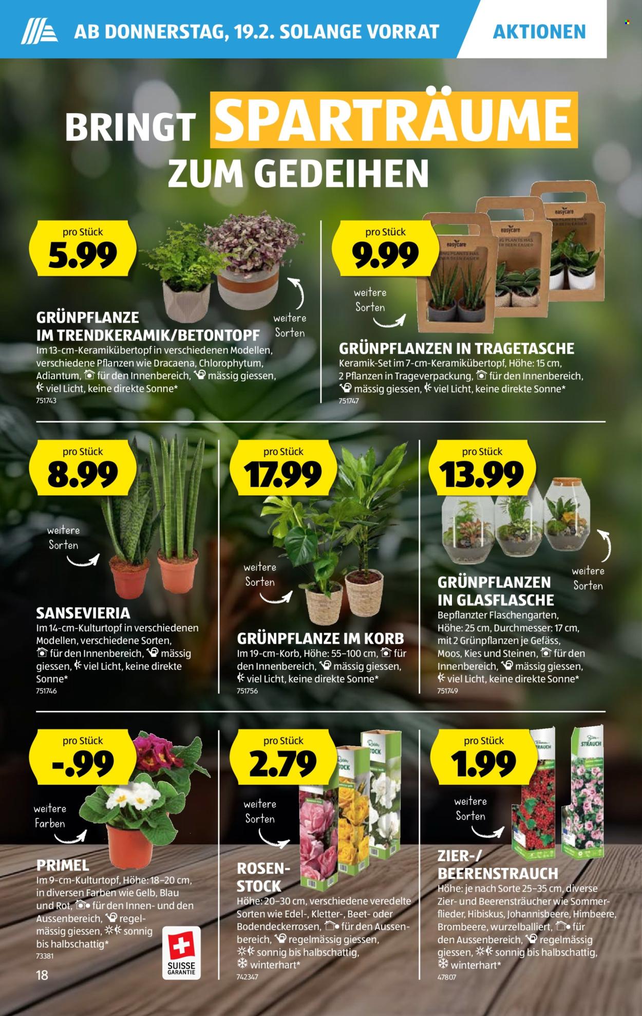 Catalogue Aldi - 19.2.2026 - 25.2.2026. Page 18. Page 18