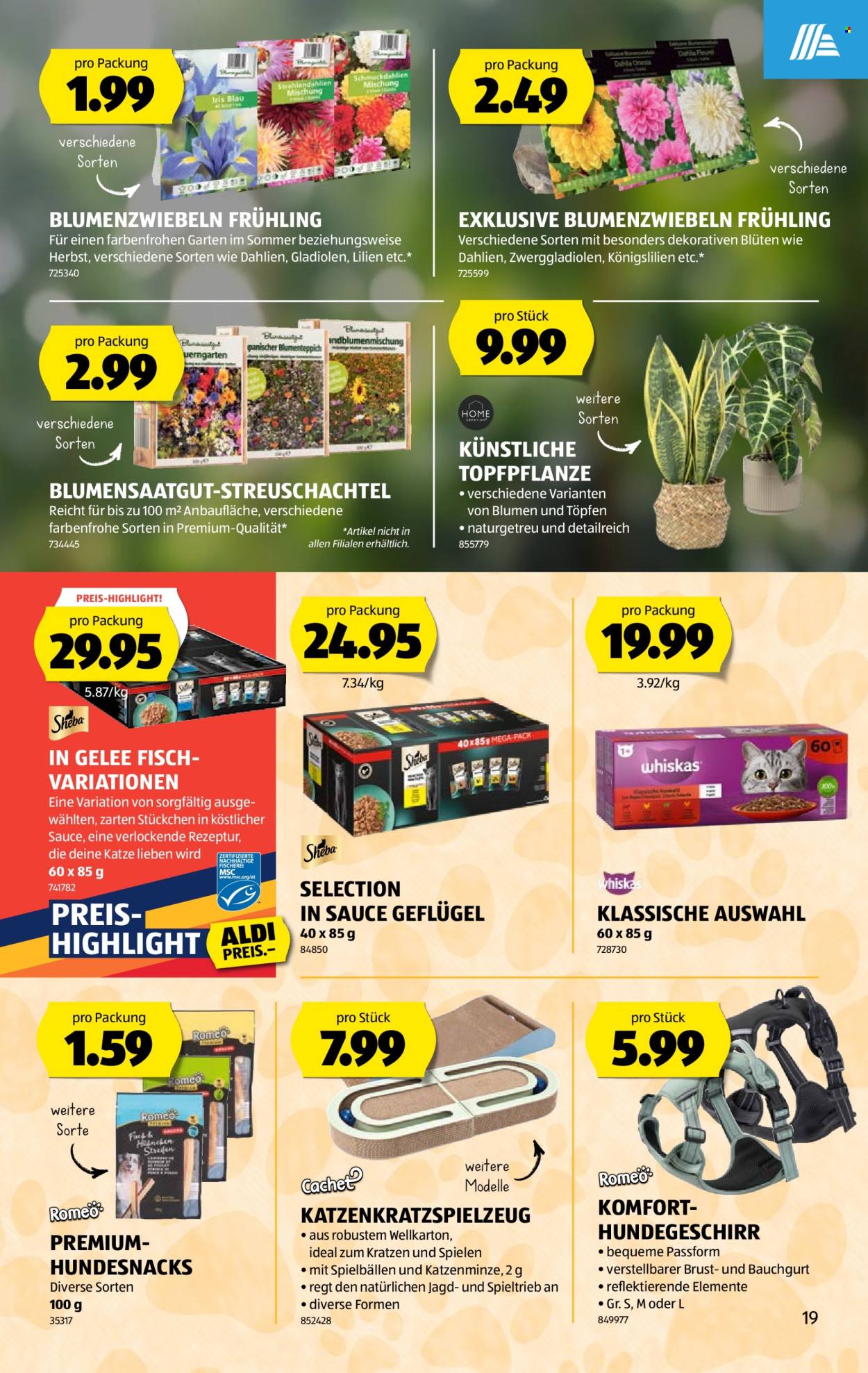 Catalogue Aldi - 19.2.2026 - 25.2.2026. Page 19. Page 19